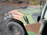 General Appearance with Paint