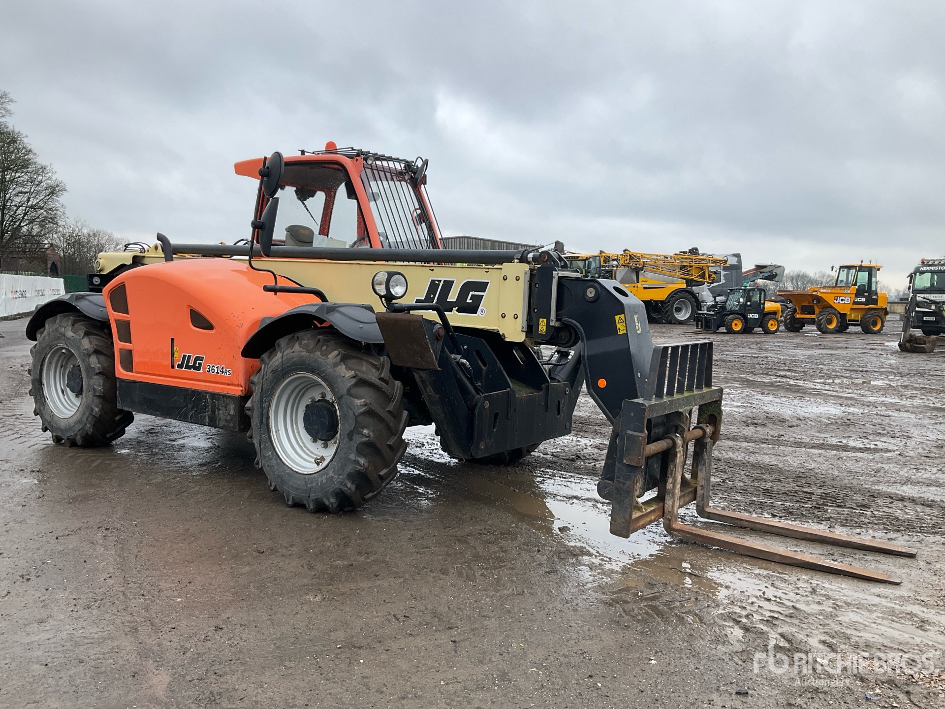 General Appearance with Zdjęcie, prawy górny róg