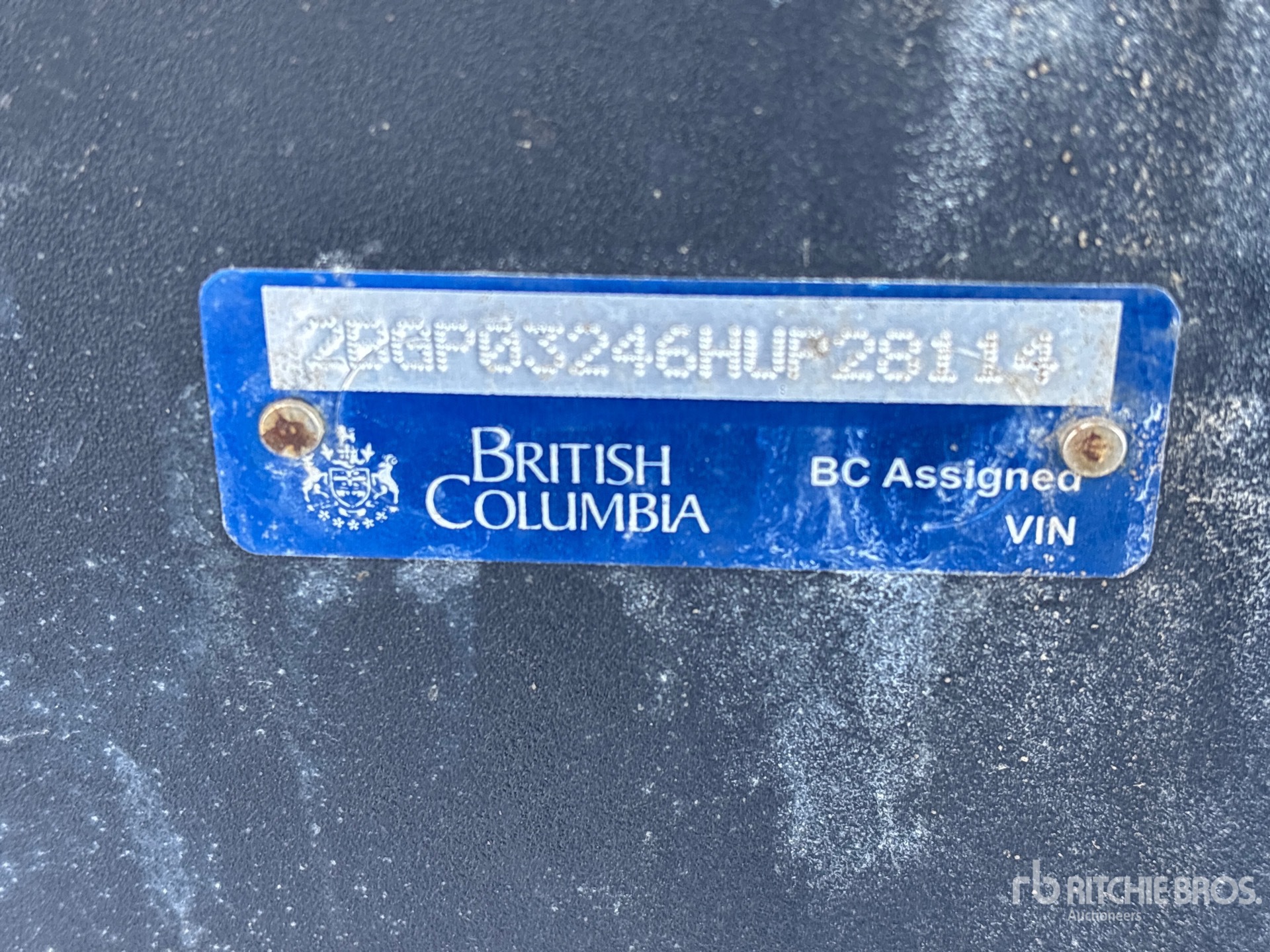 General Appearance with Numero seriale/numero d’identificazione del veicolo (VIN)