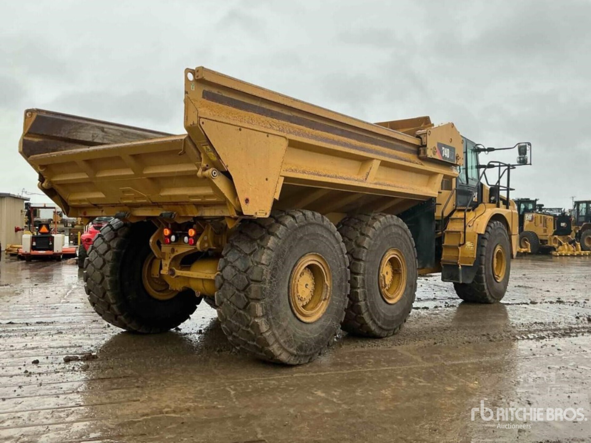 General Appearance with