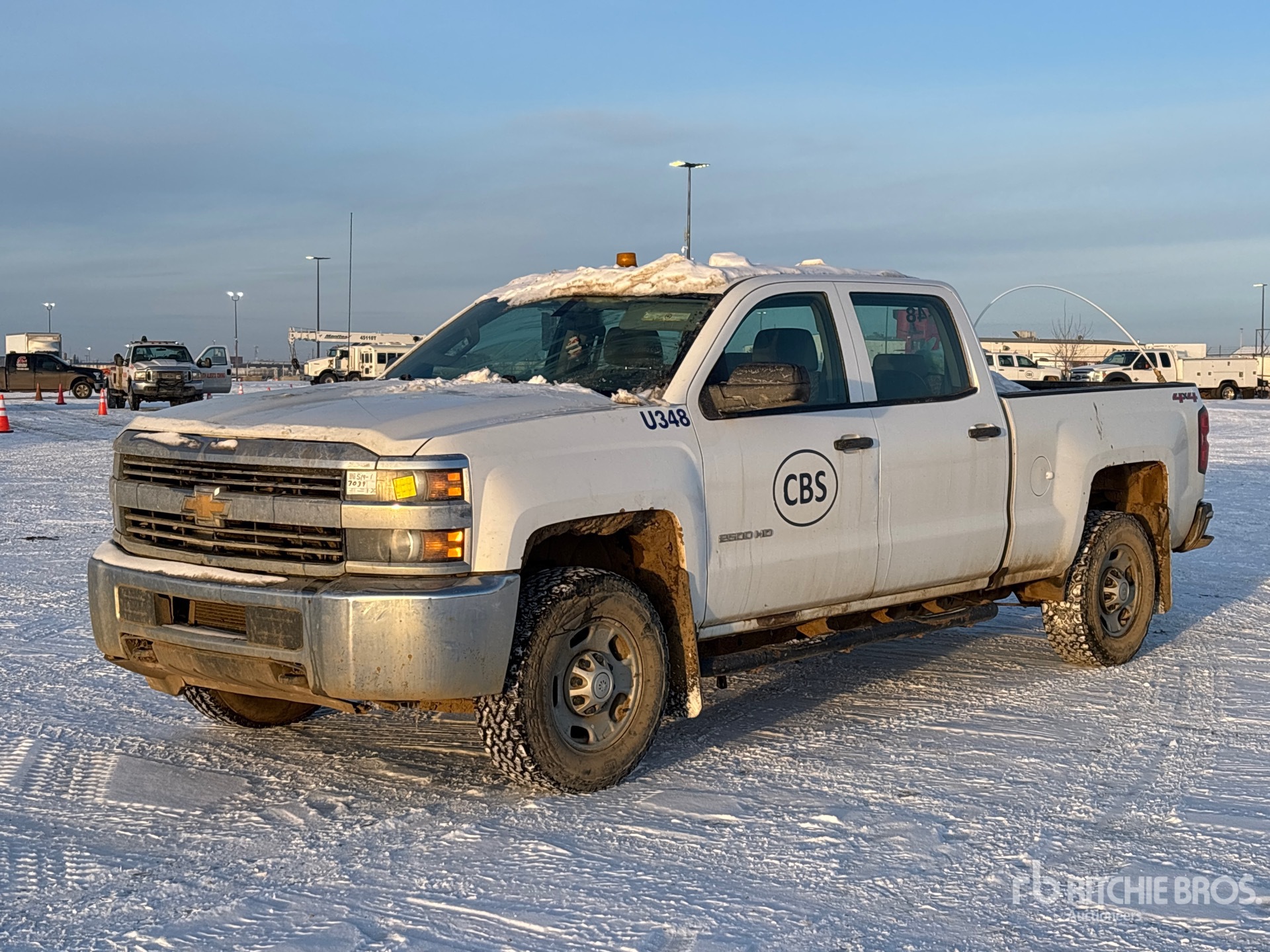 General Appearance with Spin