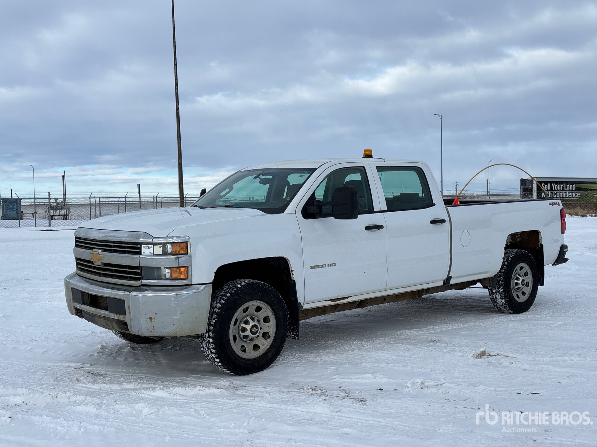 General Appearance with Spin