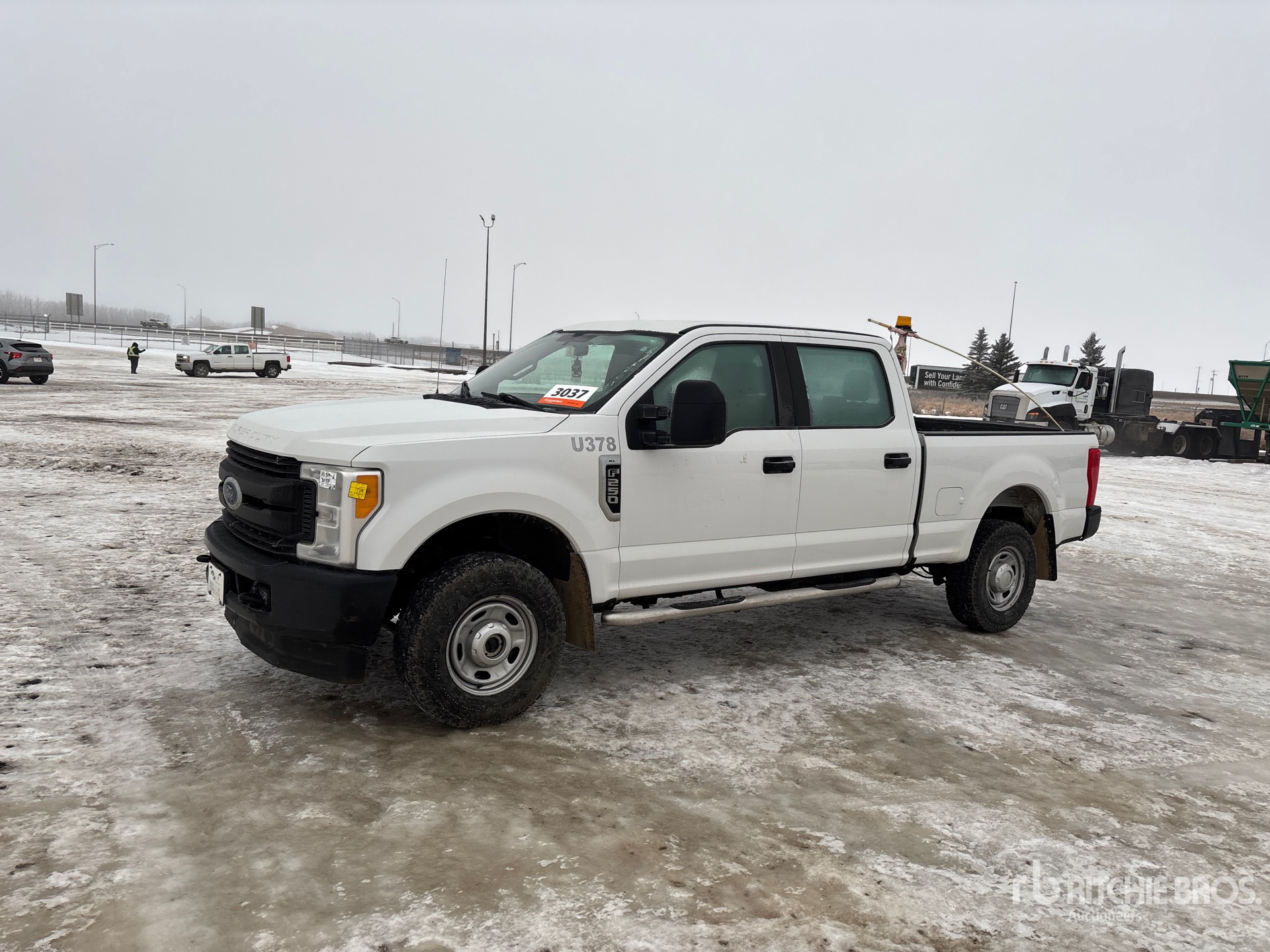 General Appearance with Spin