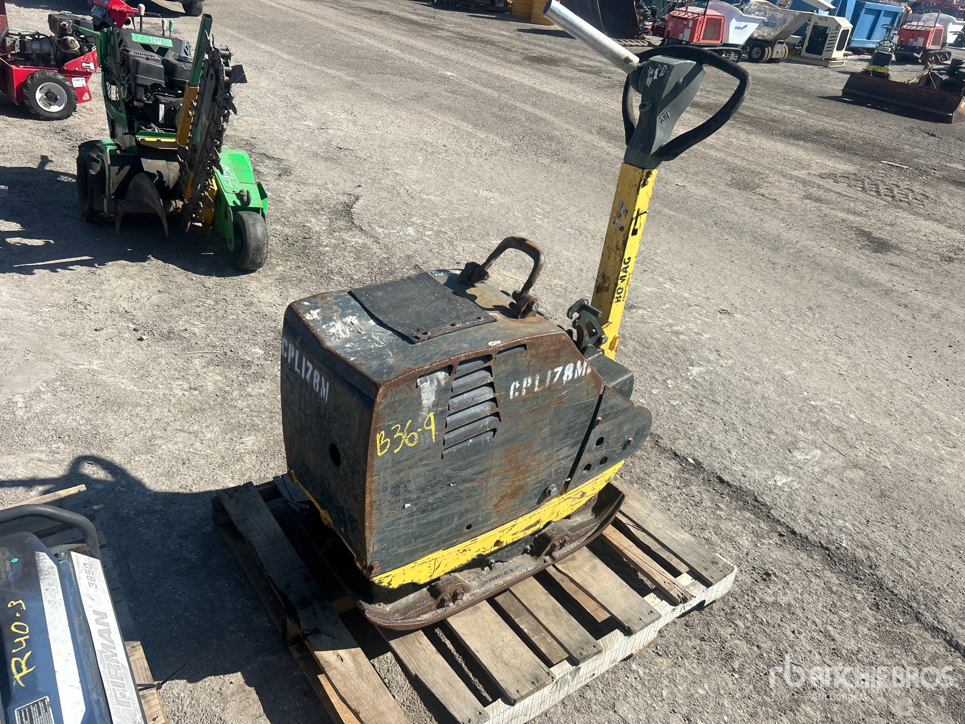 General Appearance with Featured Photo