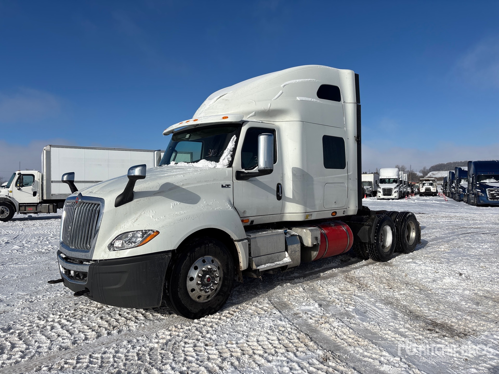 General Appearance with Spin