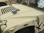 General Appearance with Paint