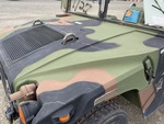 General Appearance with Paint