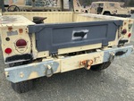 General Appearance with Paint