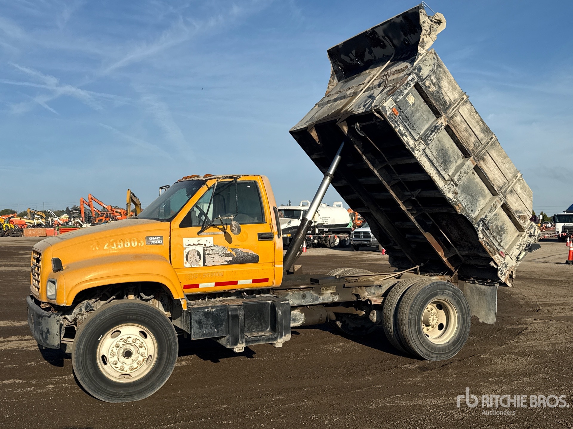 General Appearance with Spin