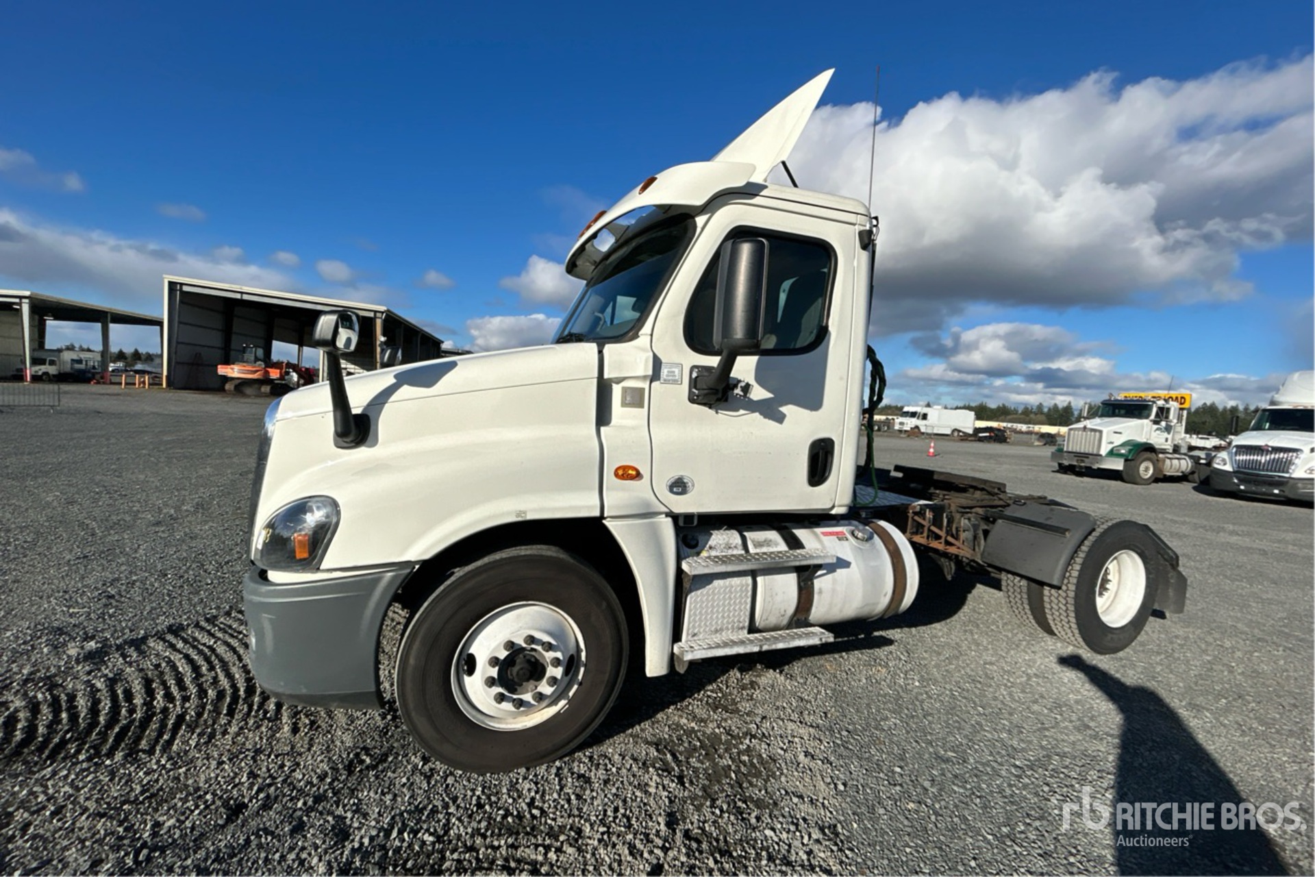 General Appearance with Spin