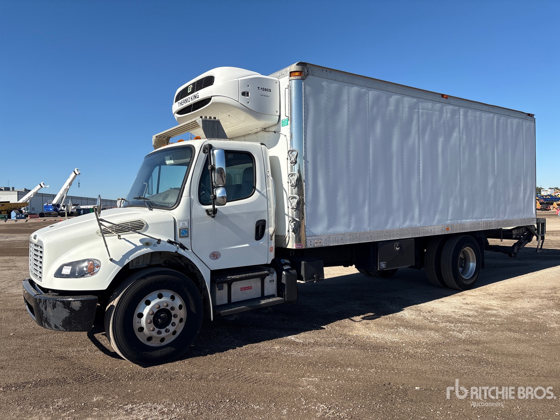 General Appearance with Spin