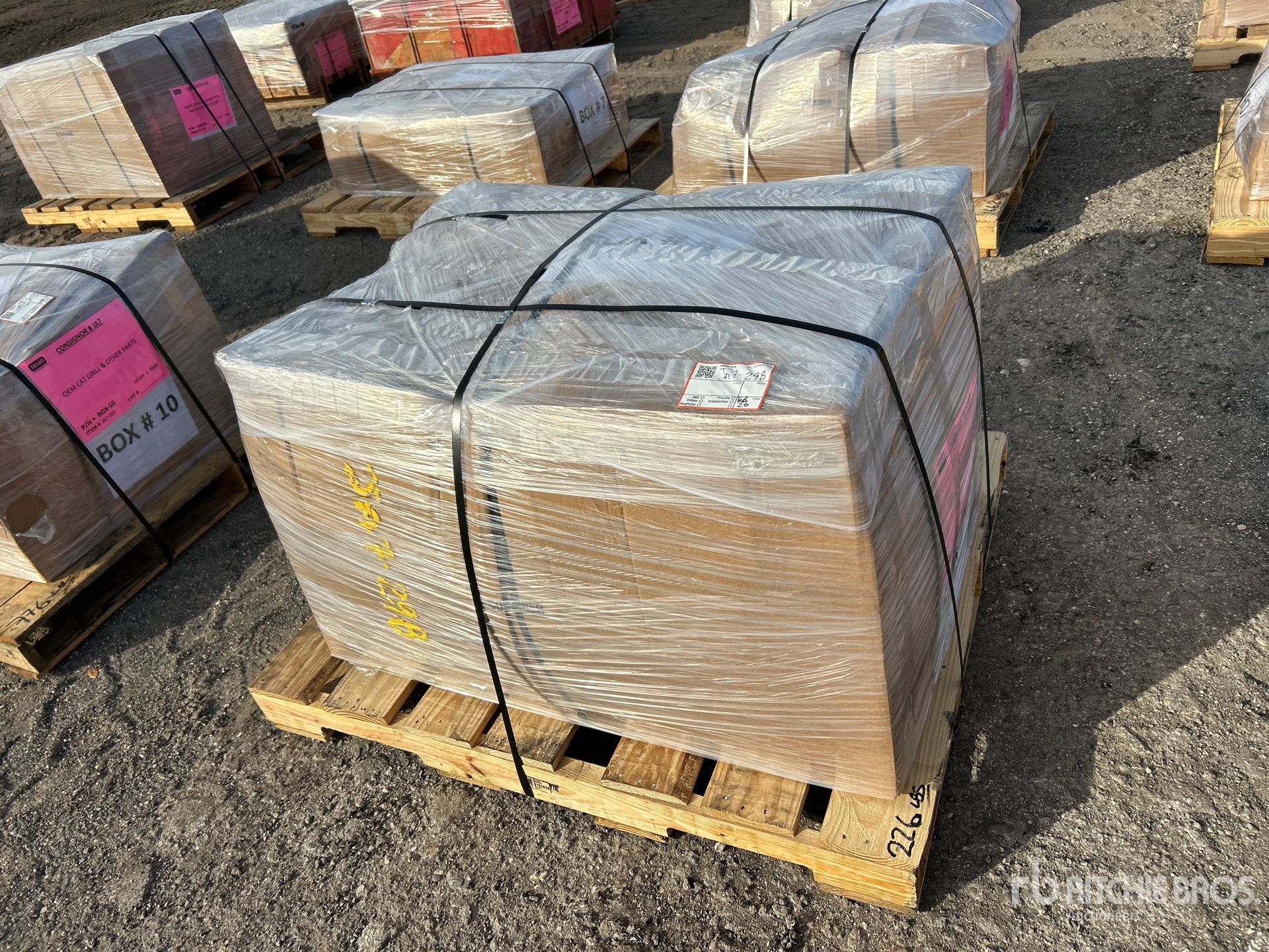 General Appearance with