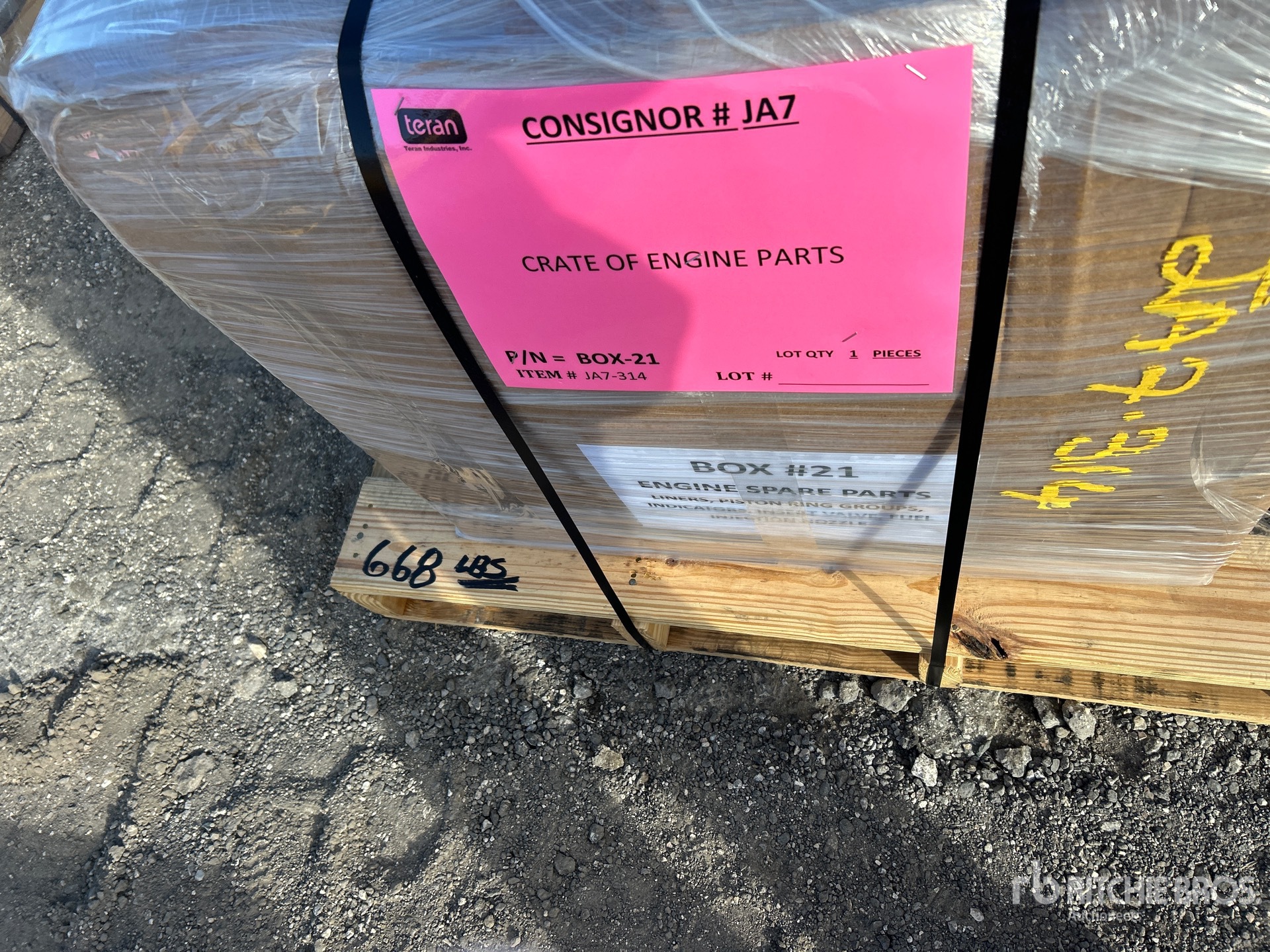 General Appearance with