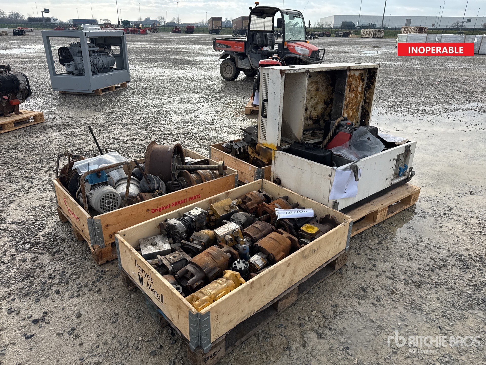 General Appearance with