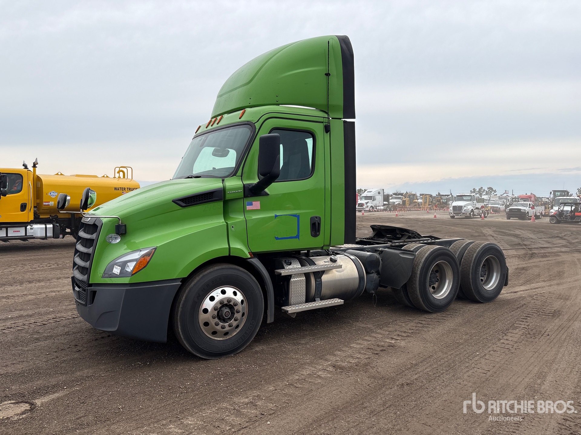 General Appearance with Spin