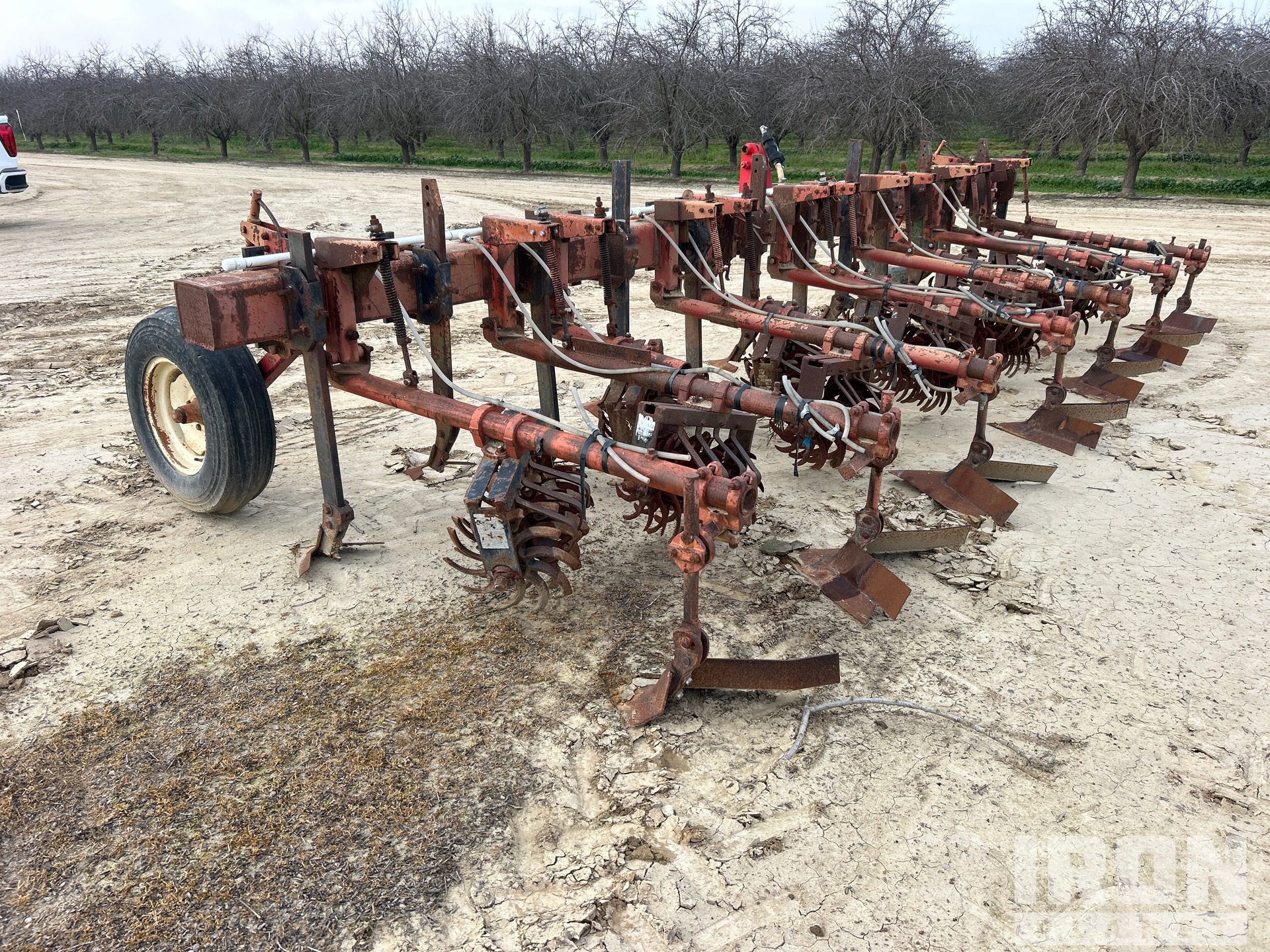 General Appearance with Bild, Ecke hinten links