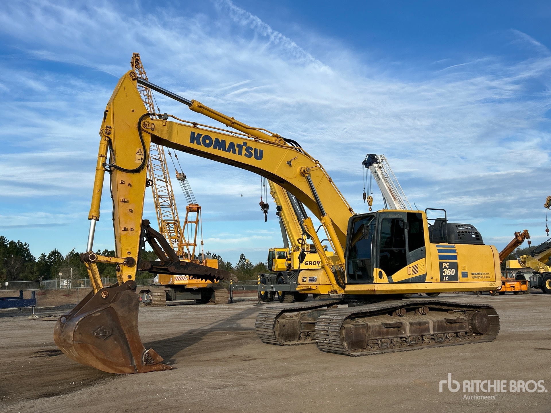 General Appearance with Spin