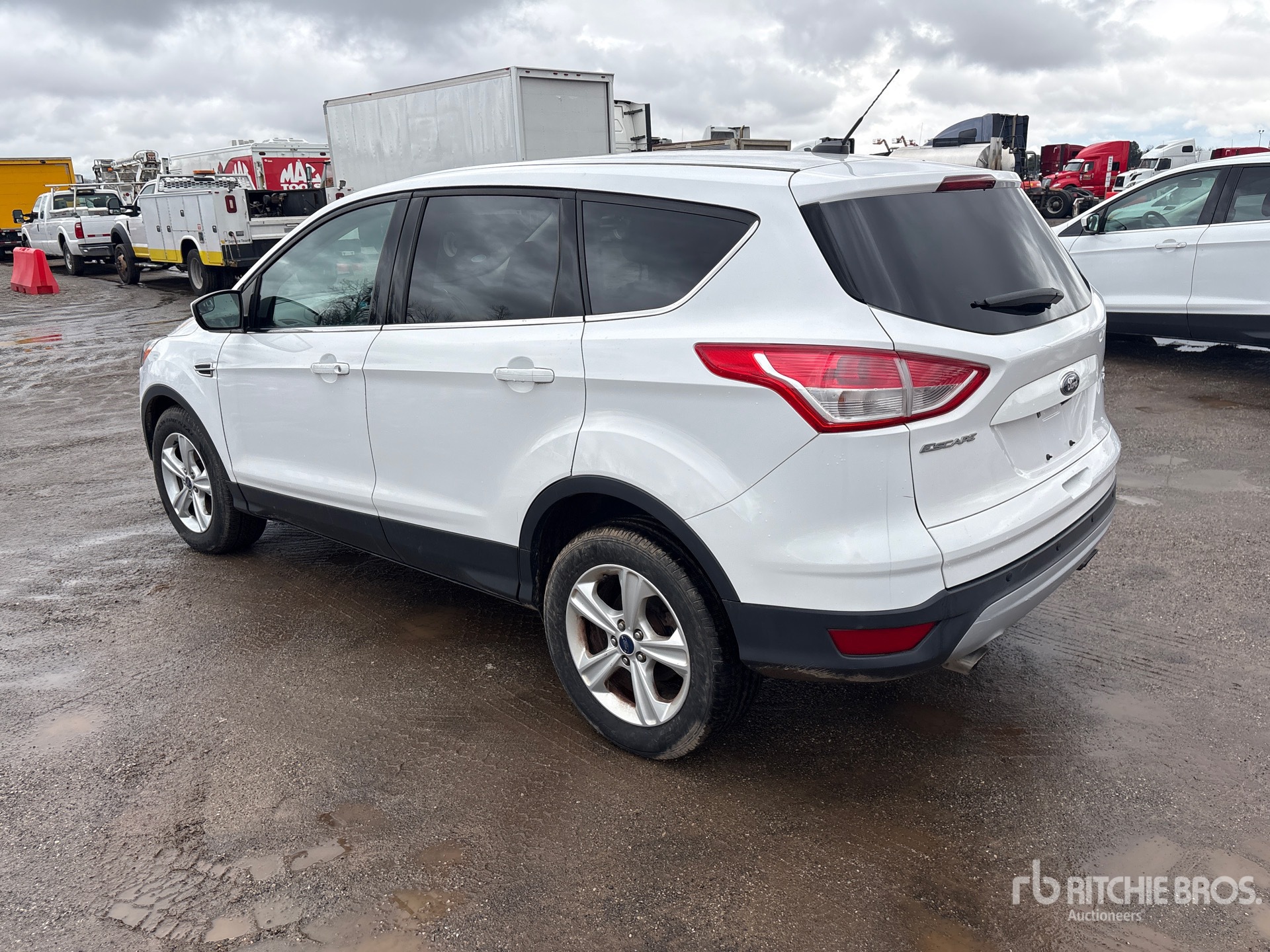 General Appearance with Bild, Ecke hinten links