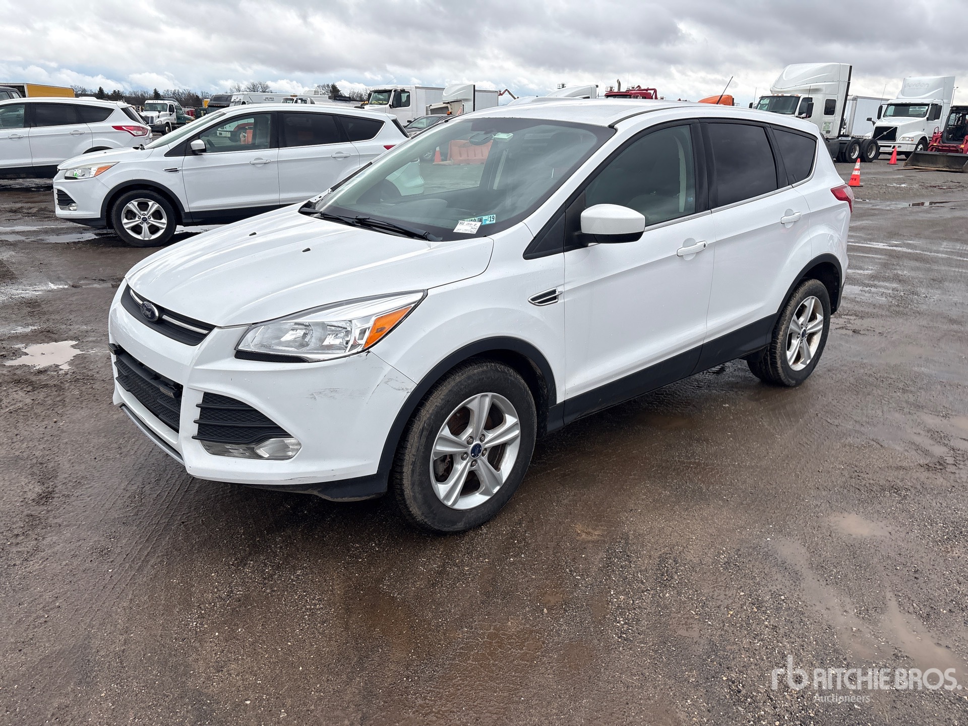 General Appearance with Bild, Ecke vorne links