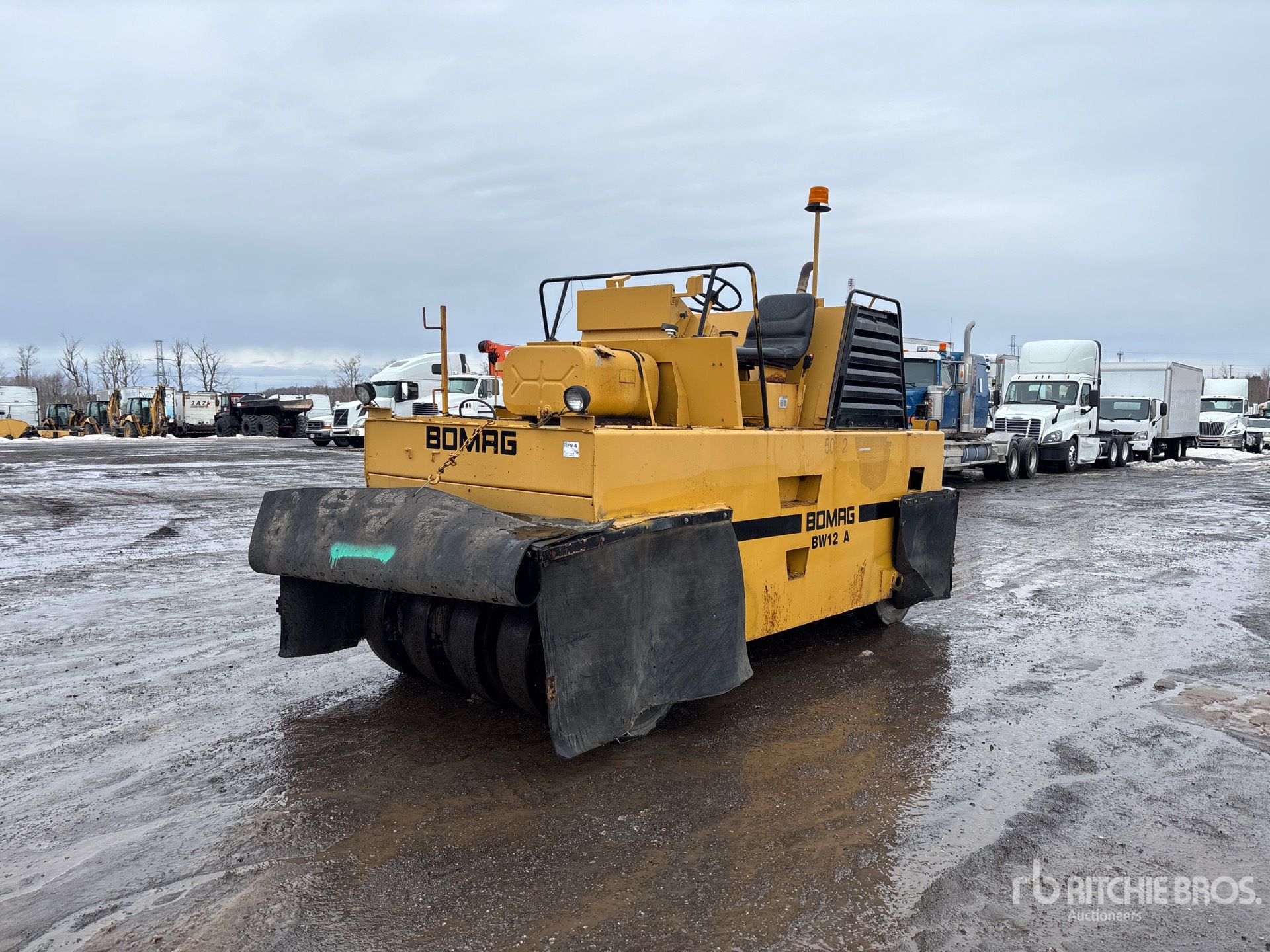 General Appearance with Spin