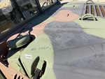 General Appearance with Paint
