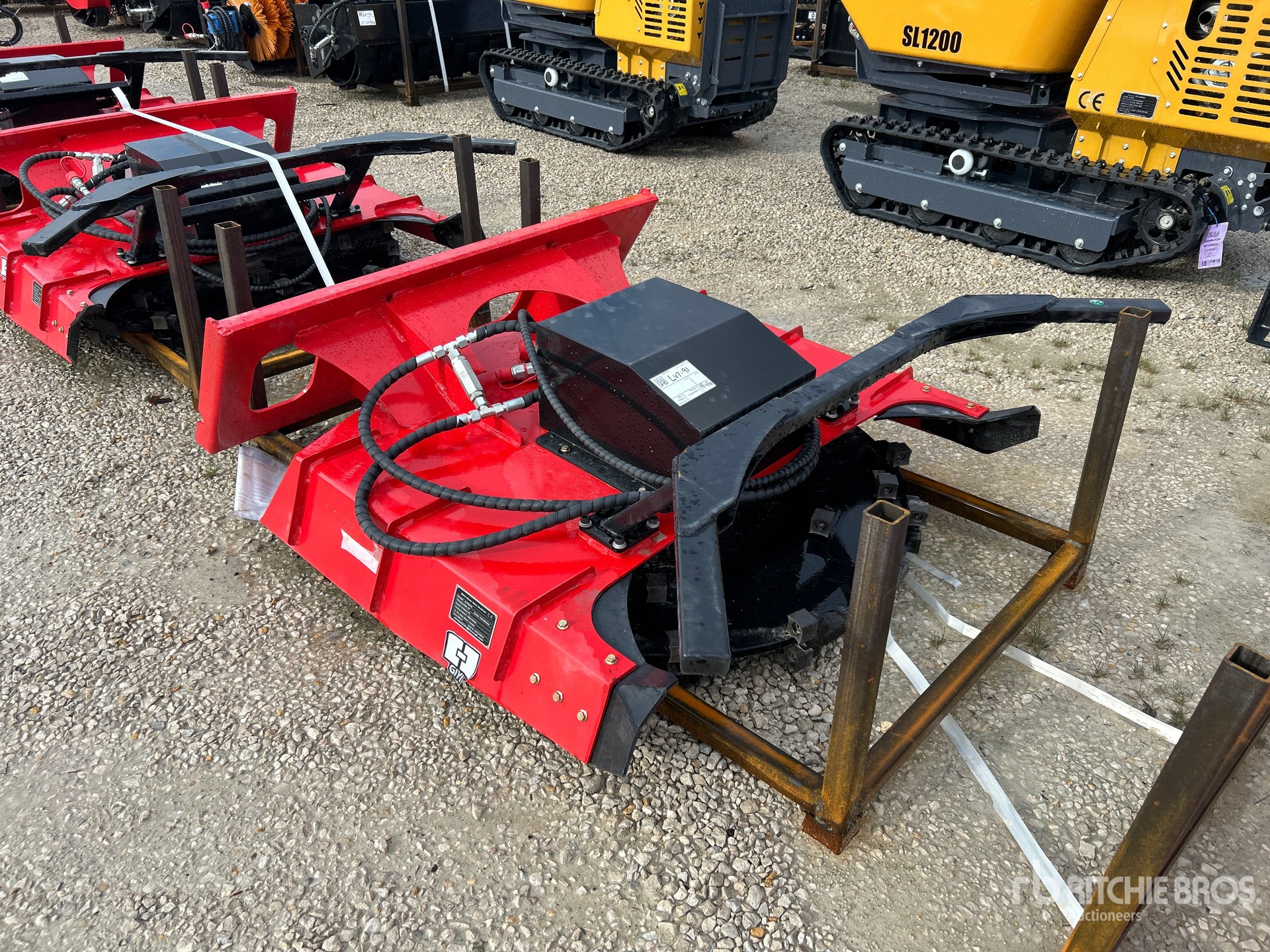 General Appearance with Zdjęcie, prawy górny róg