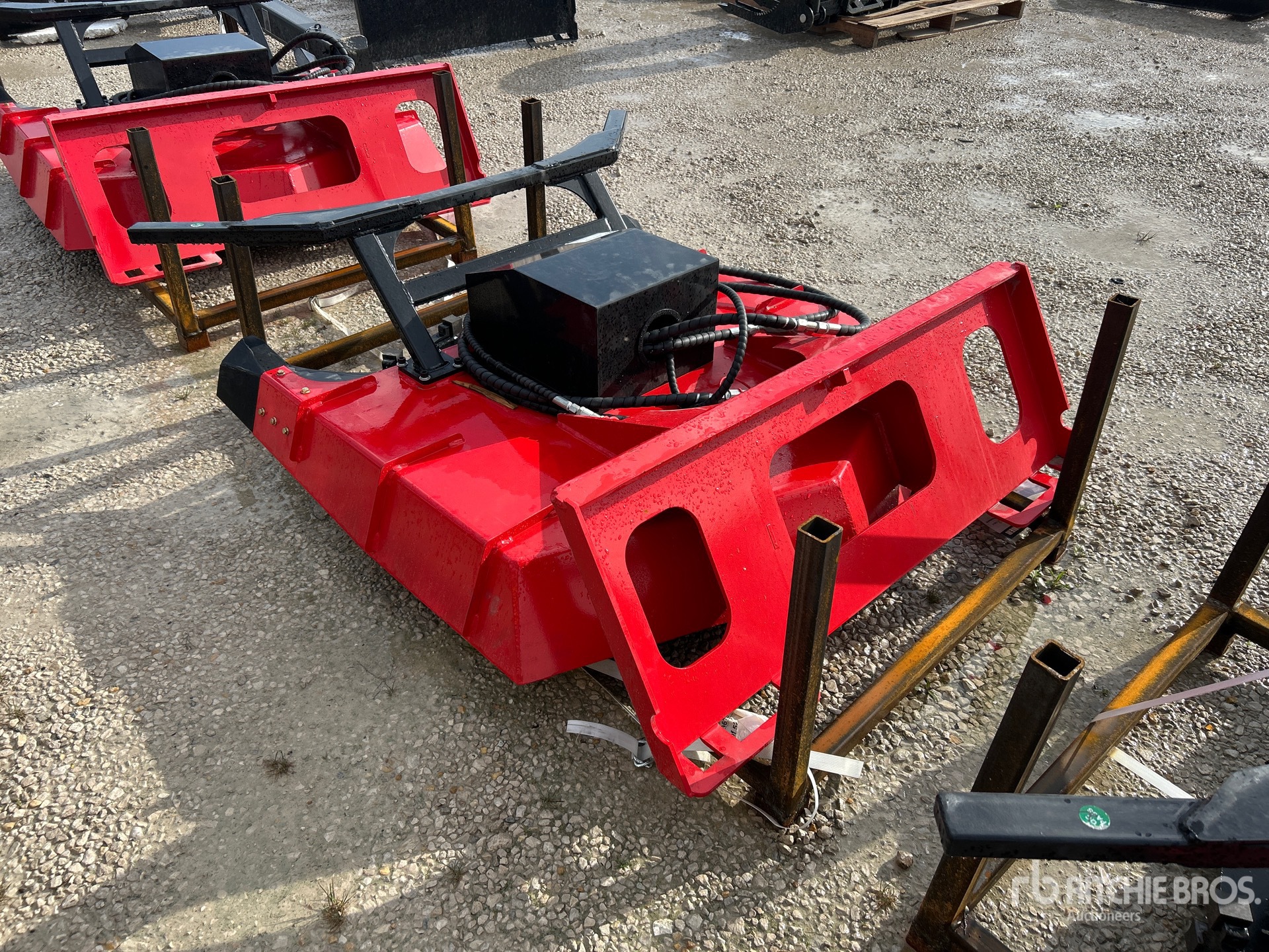 General Appearance with Zdjęcie, lewy dolny róg