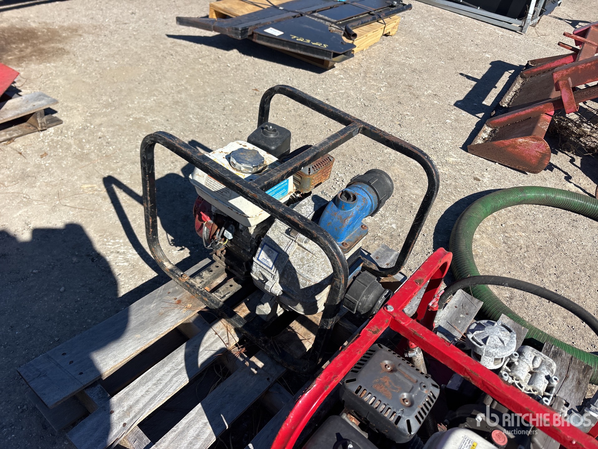 General Appearance with Zdjęcie, lewy dolny róg