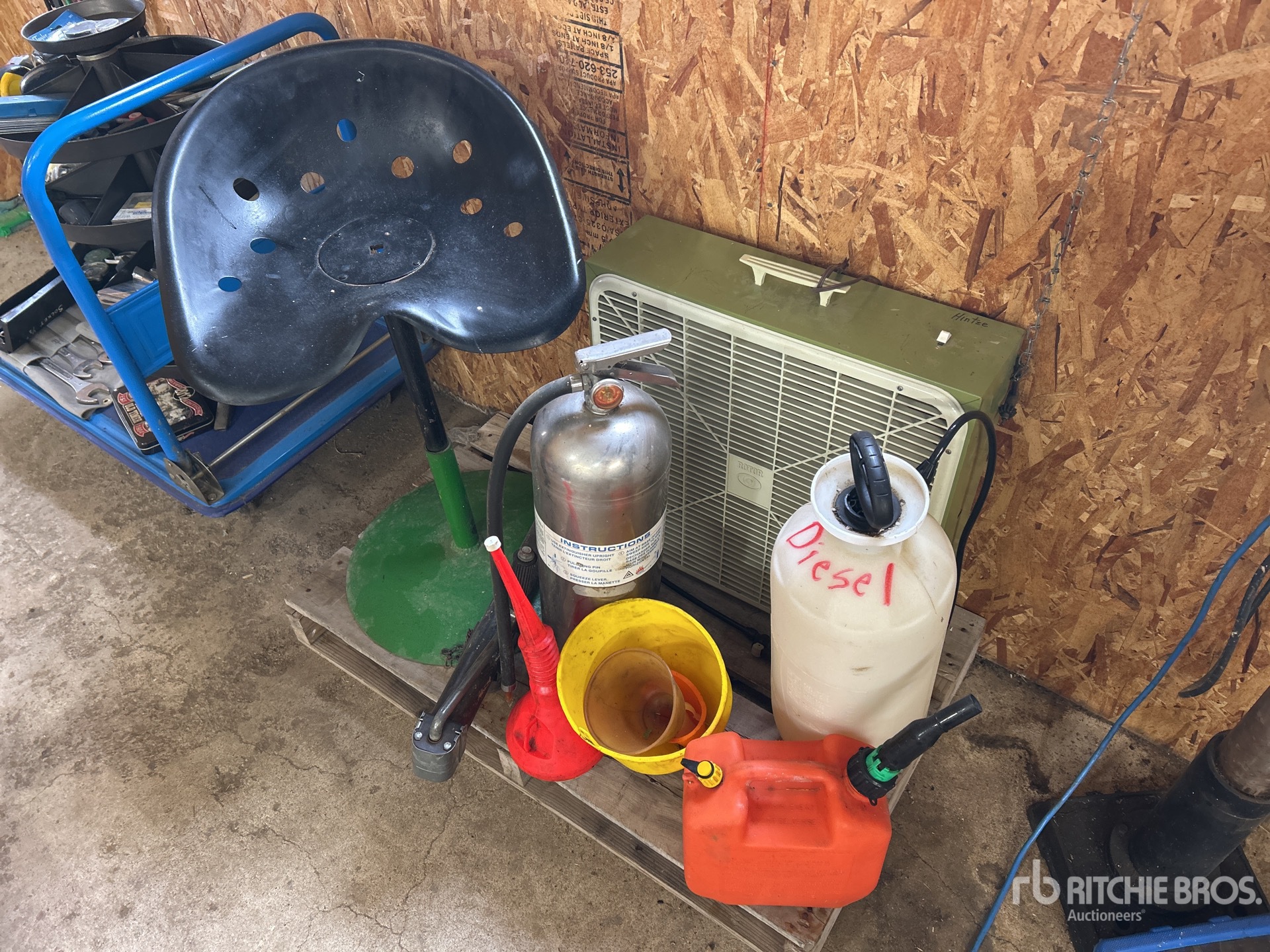 General Appearance with