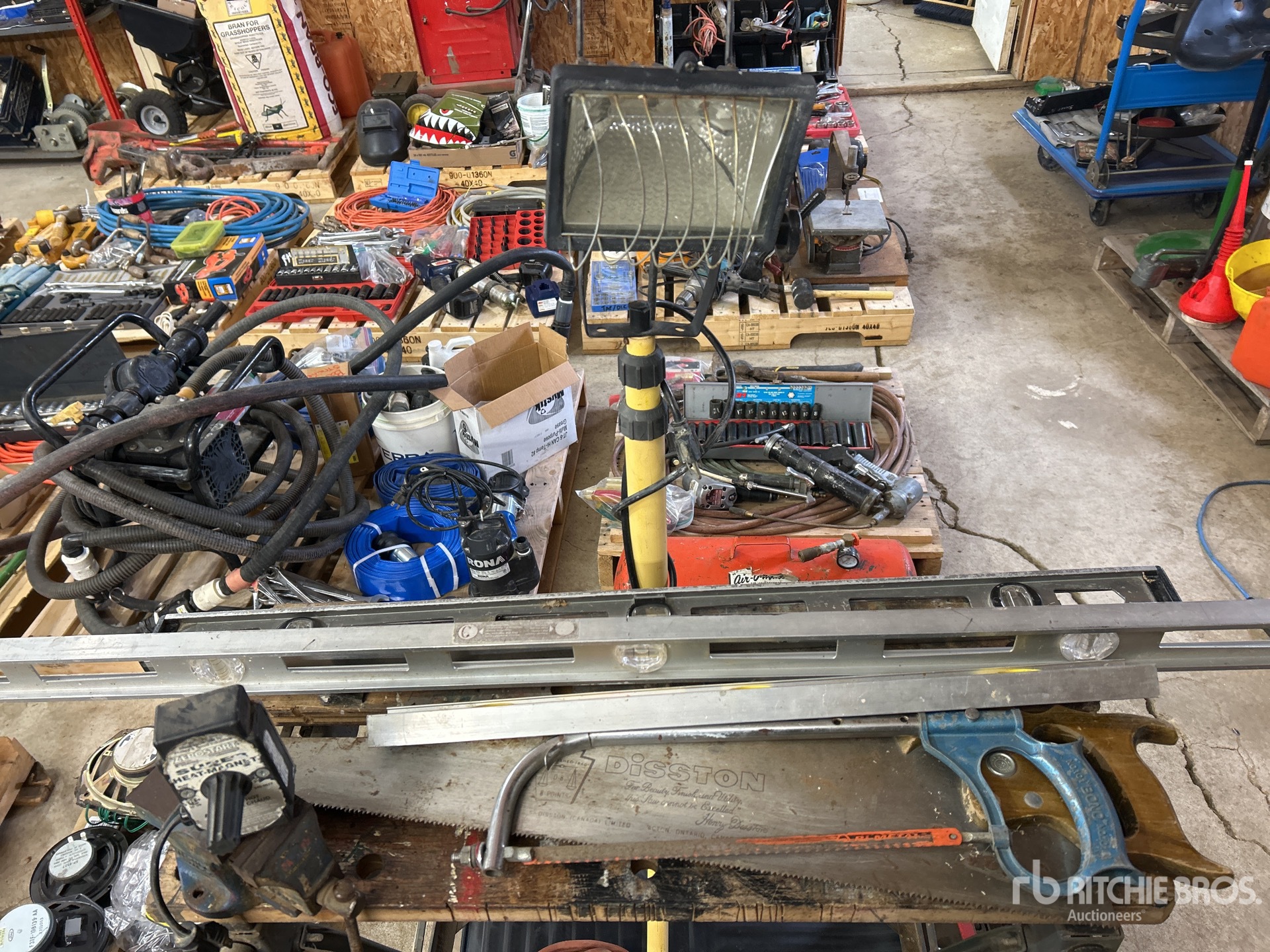 General Appearance with