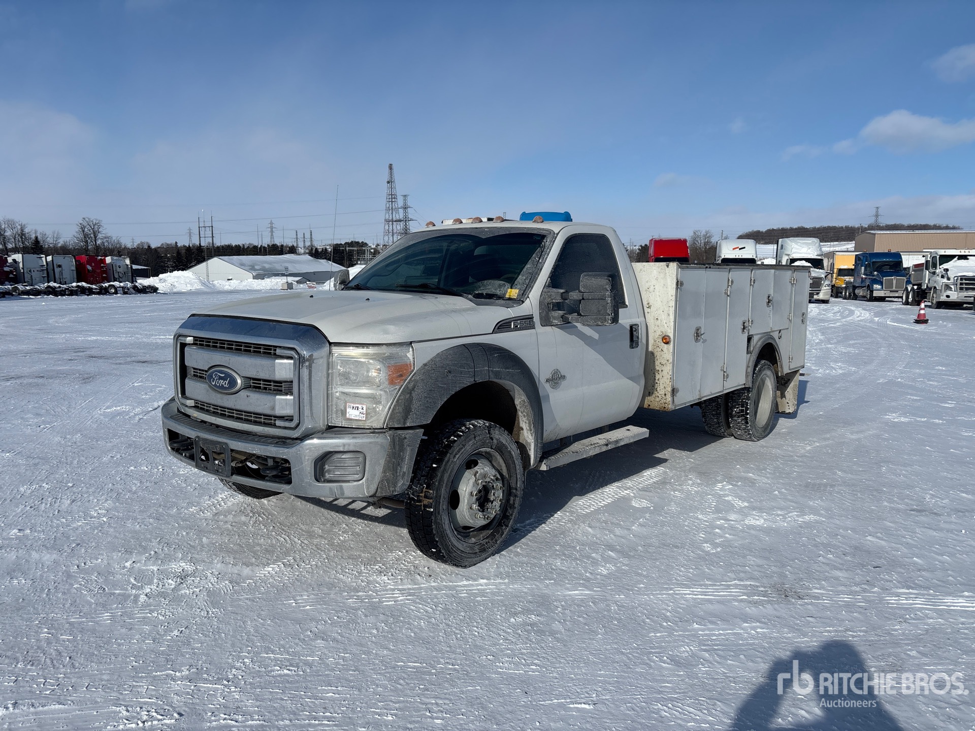 General Appearance with Spin