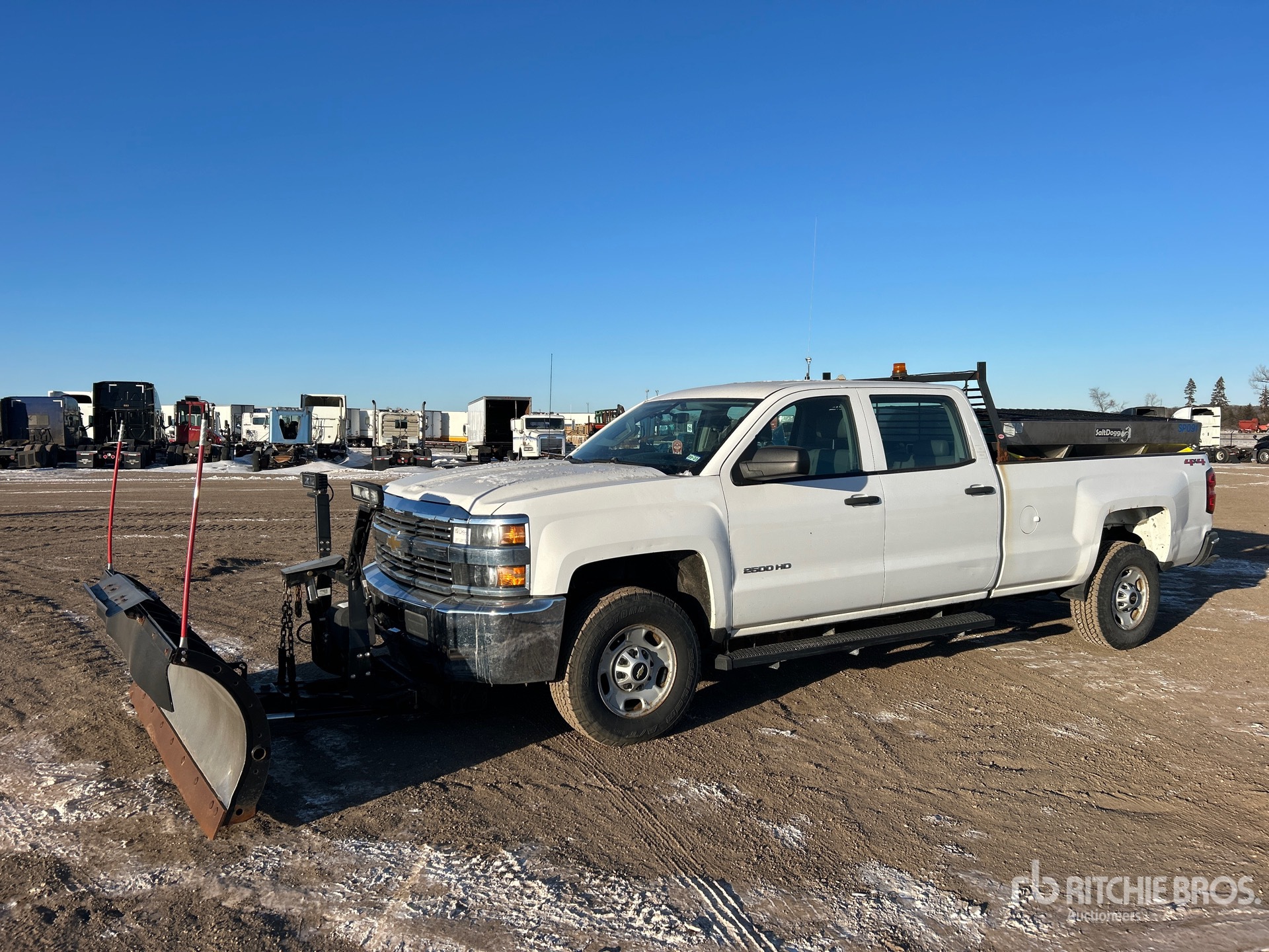 General Appearance with Spin