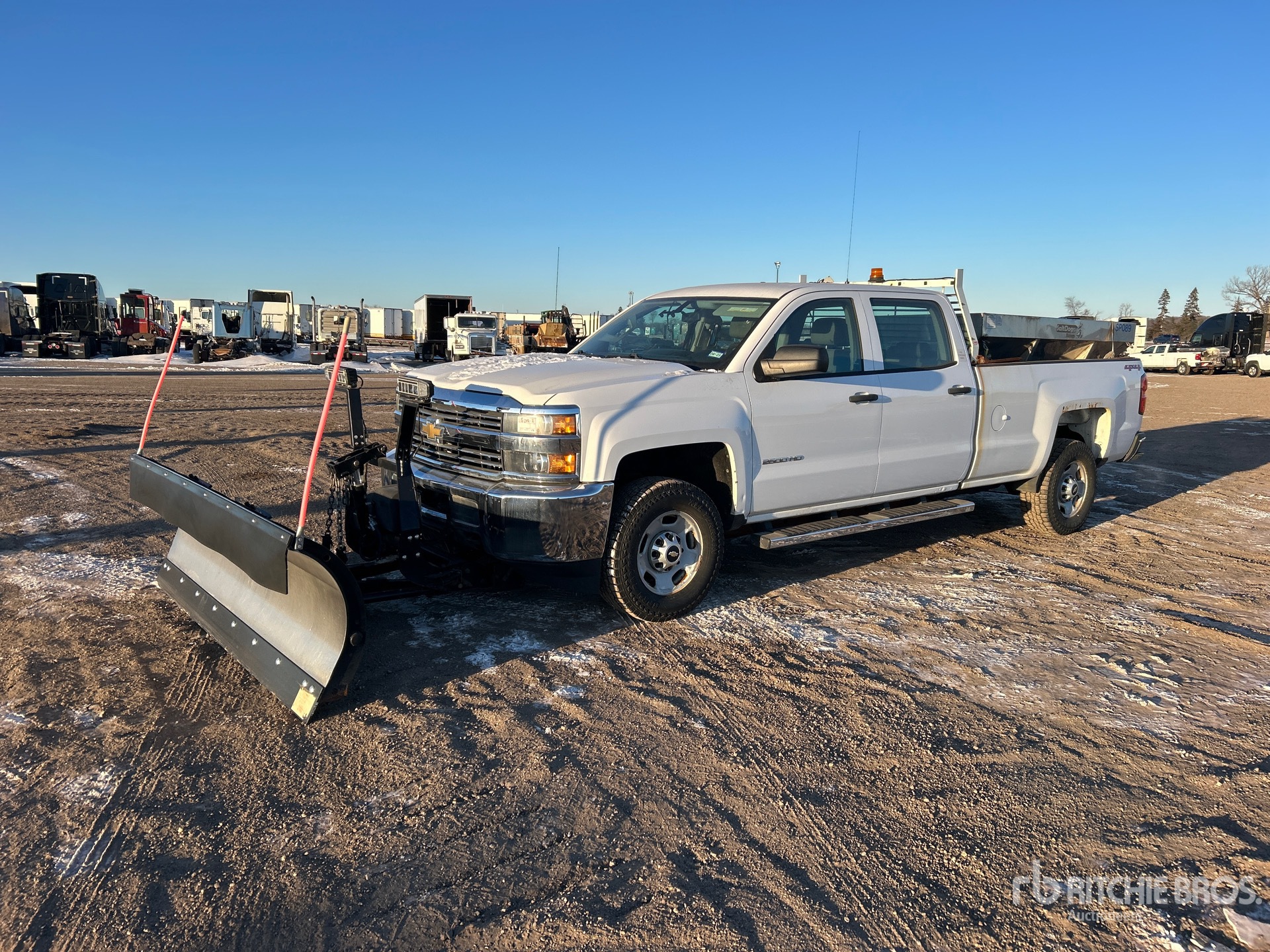 General Appearance with Spin