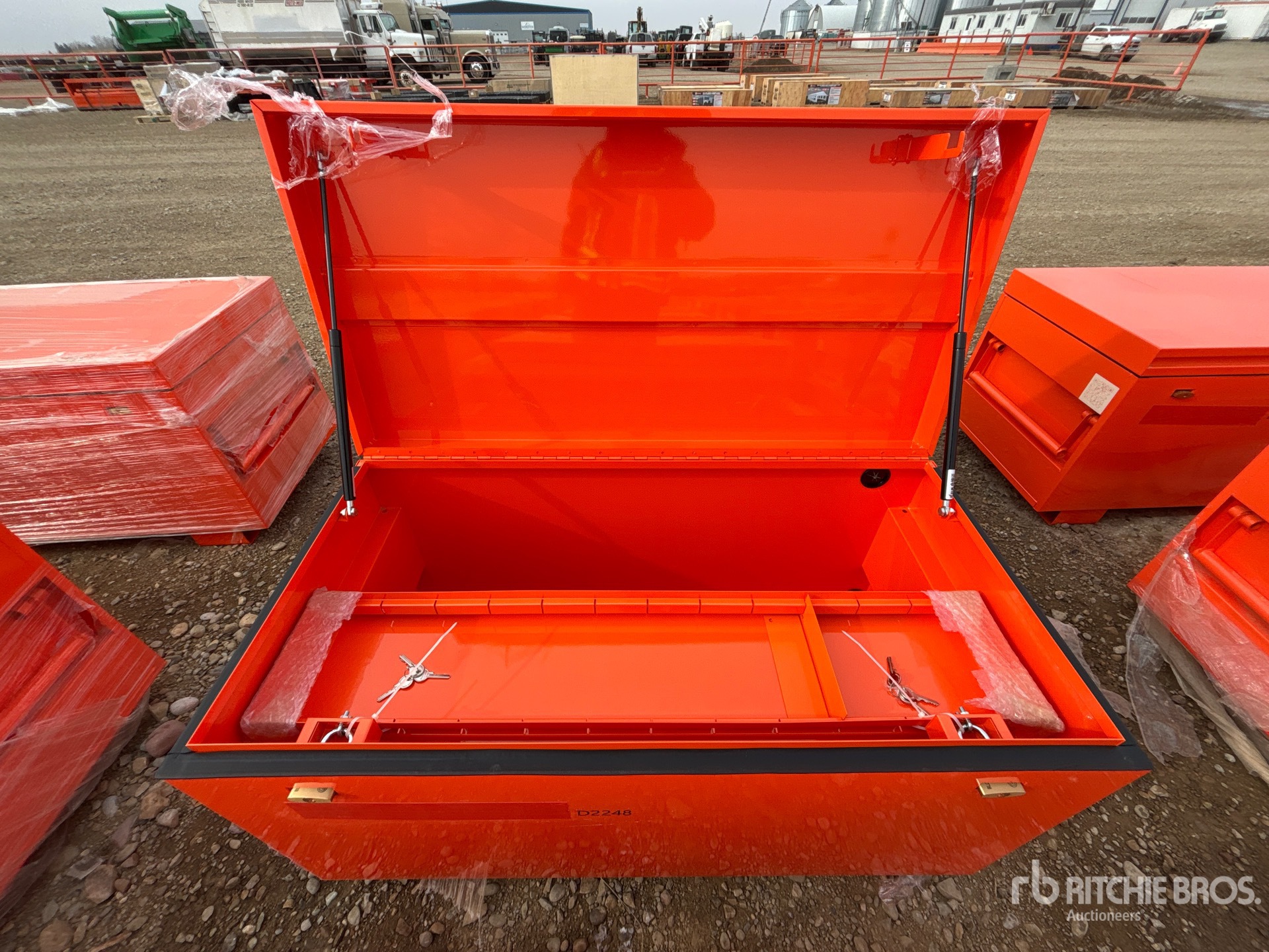 General Appearance with