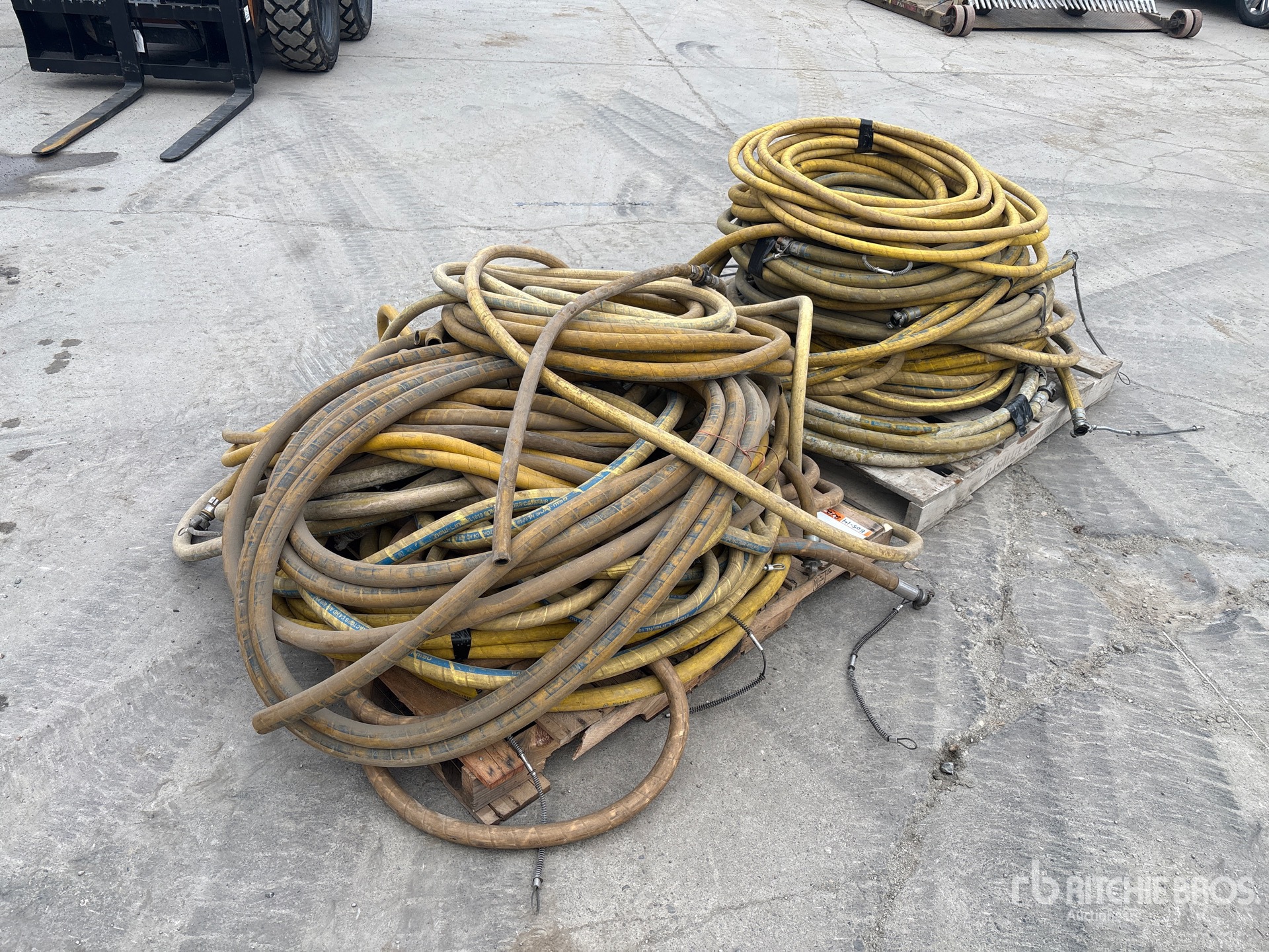 General Appearance with Foto, angolo anteriore sinistro