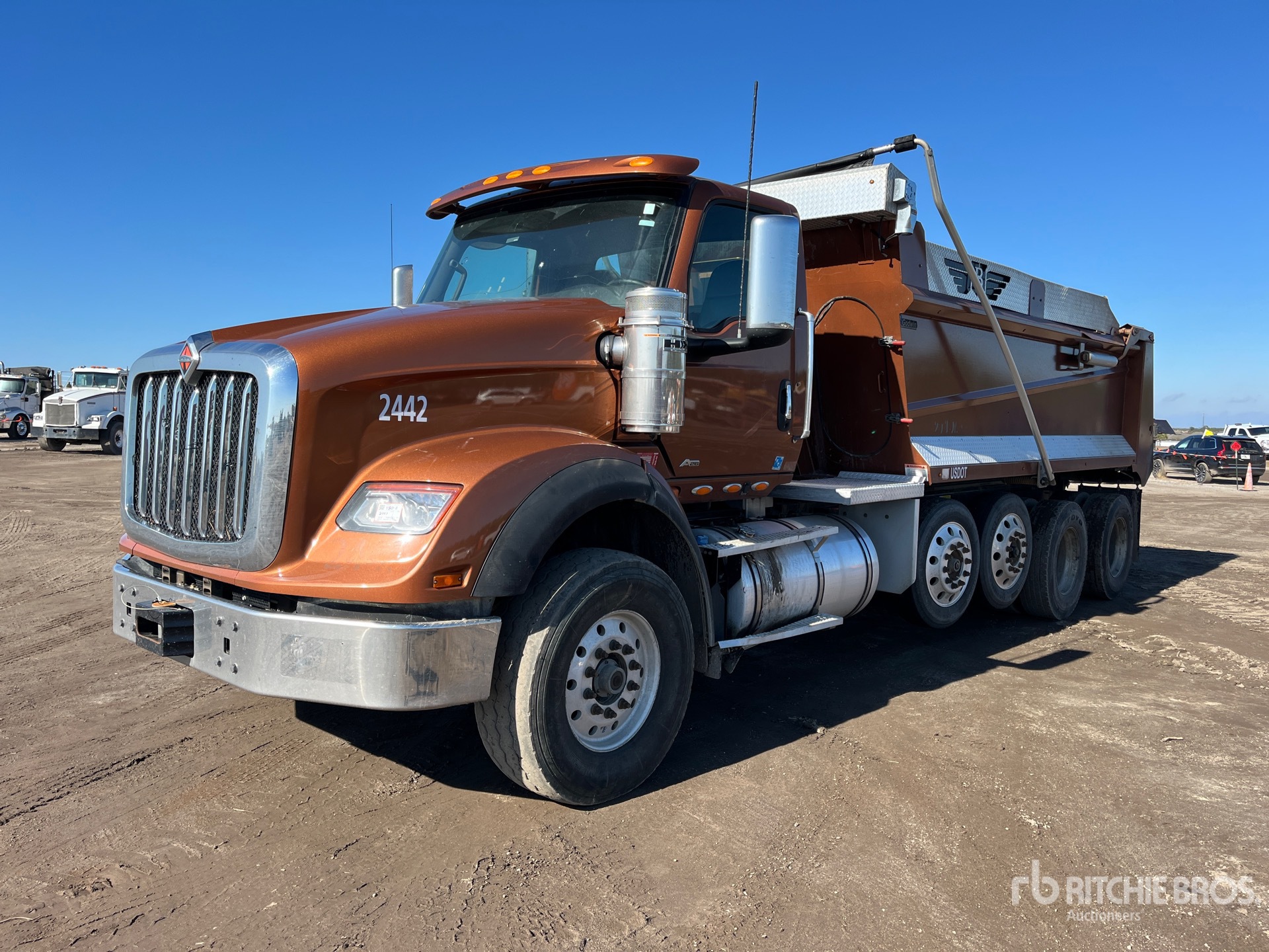 General Appearance with Spin