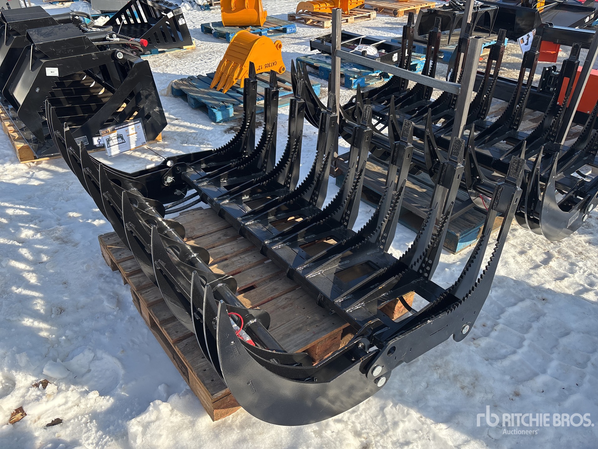 General Appearance with Zdjęcie, prawy dolny róg