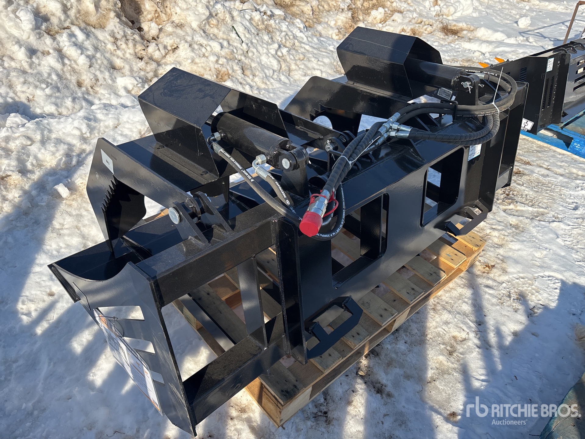 General Appearance with Zdjęcie, lewy dolny róg