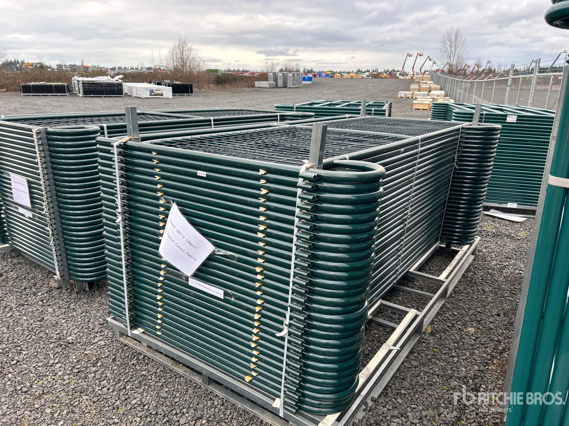 General Appearance with Zdjęcie, lewy dolny róg