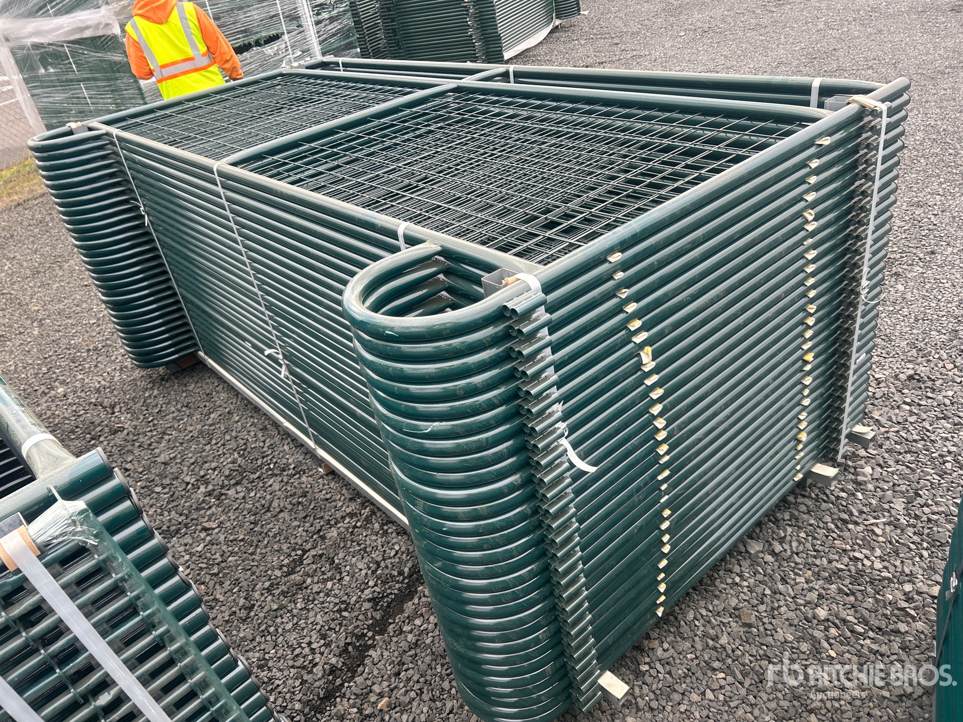 General Appearance with Zdjęcie, lewy dolny róg