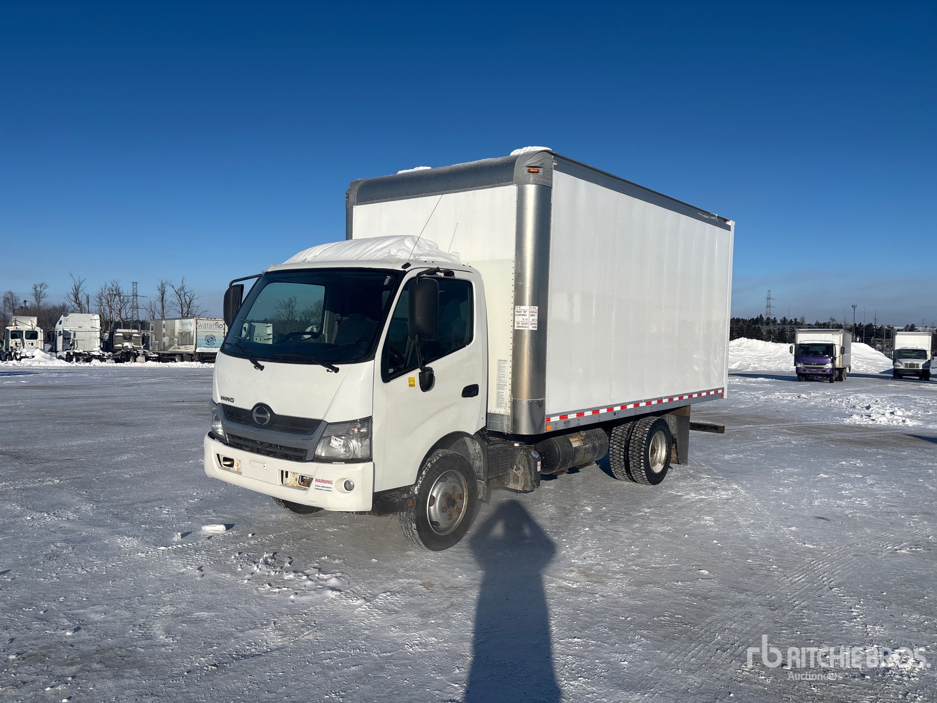 General Appearance with Spin