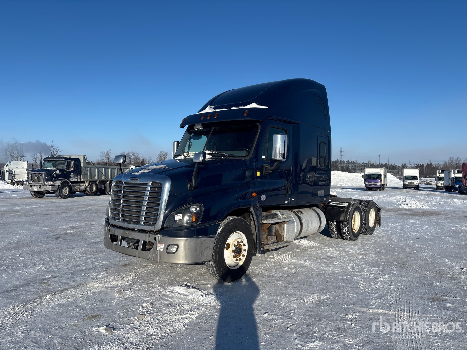 General Appearance with Spin