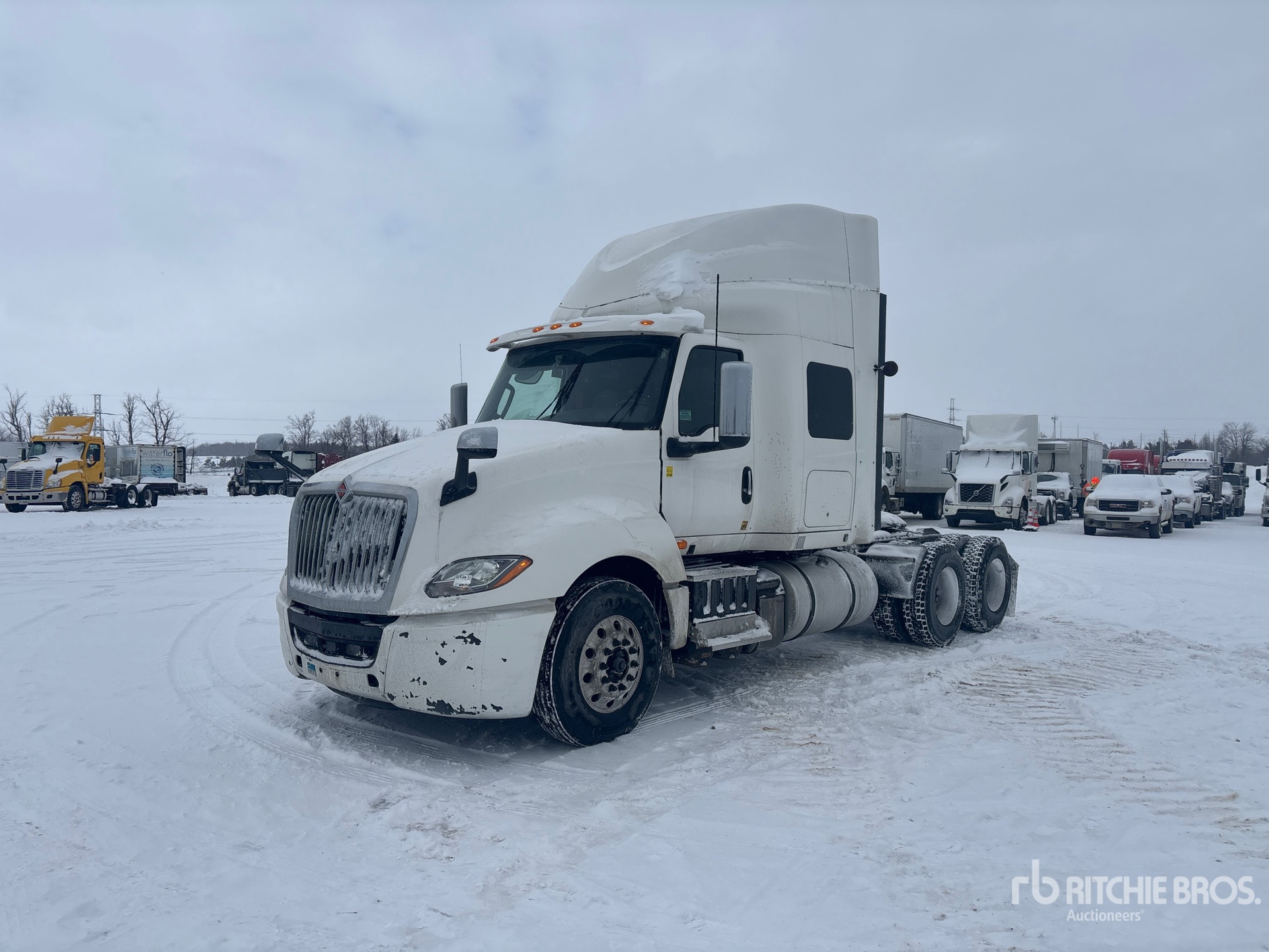 General Appearance with Spin