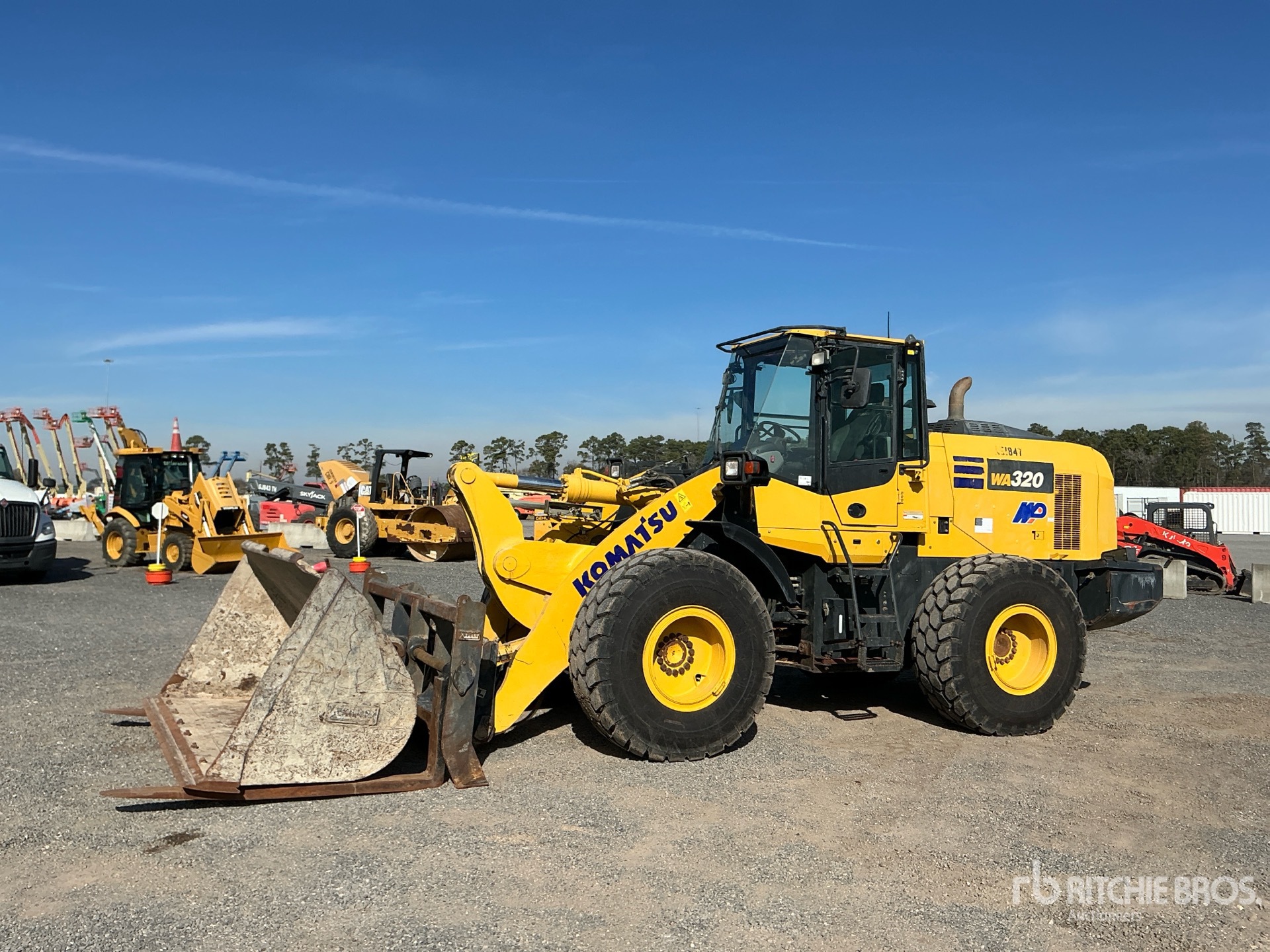 General Appearance with Spin