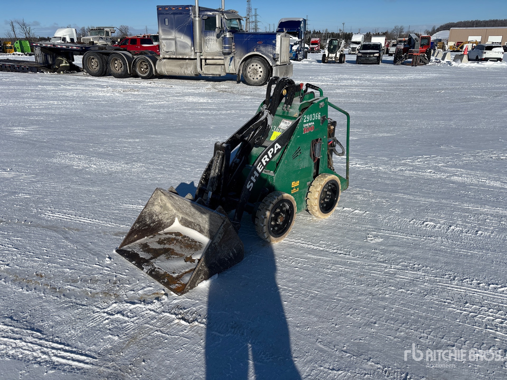 General Appearance with Spin