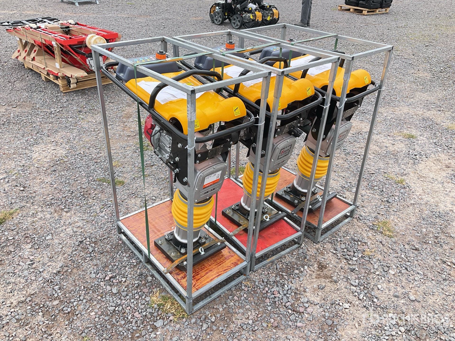 General Appearance with Zdjęcie, prawy dolny róg