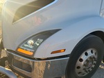 General Appearance with Paint