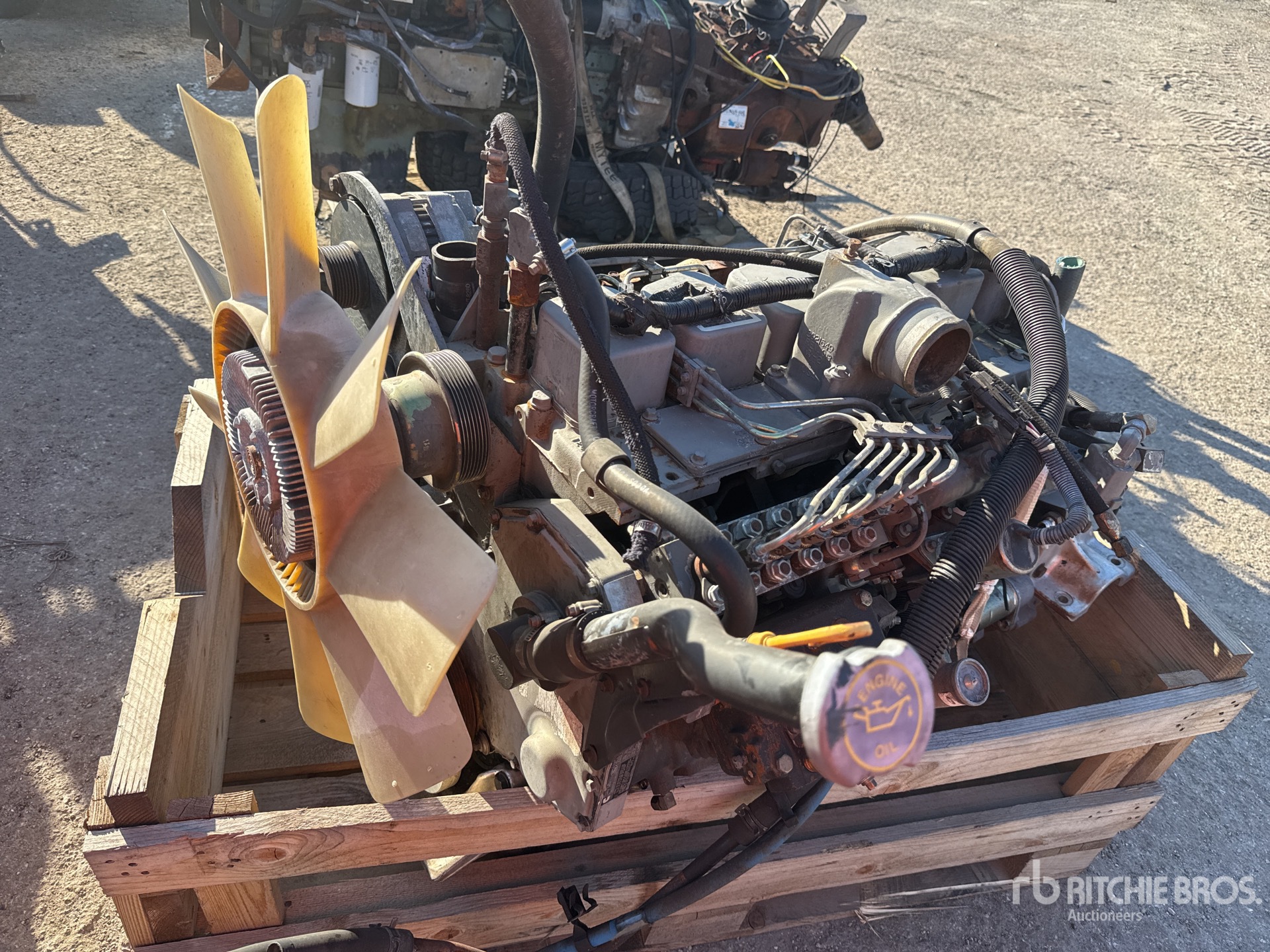 General Appearance with Imagen: esquina delantera derecha