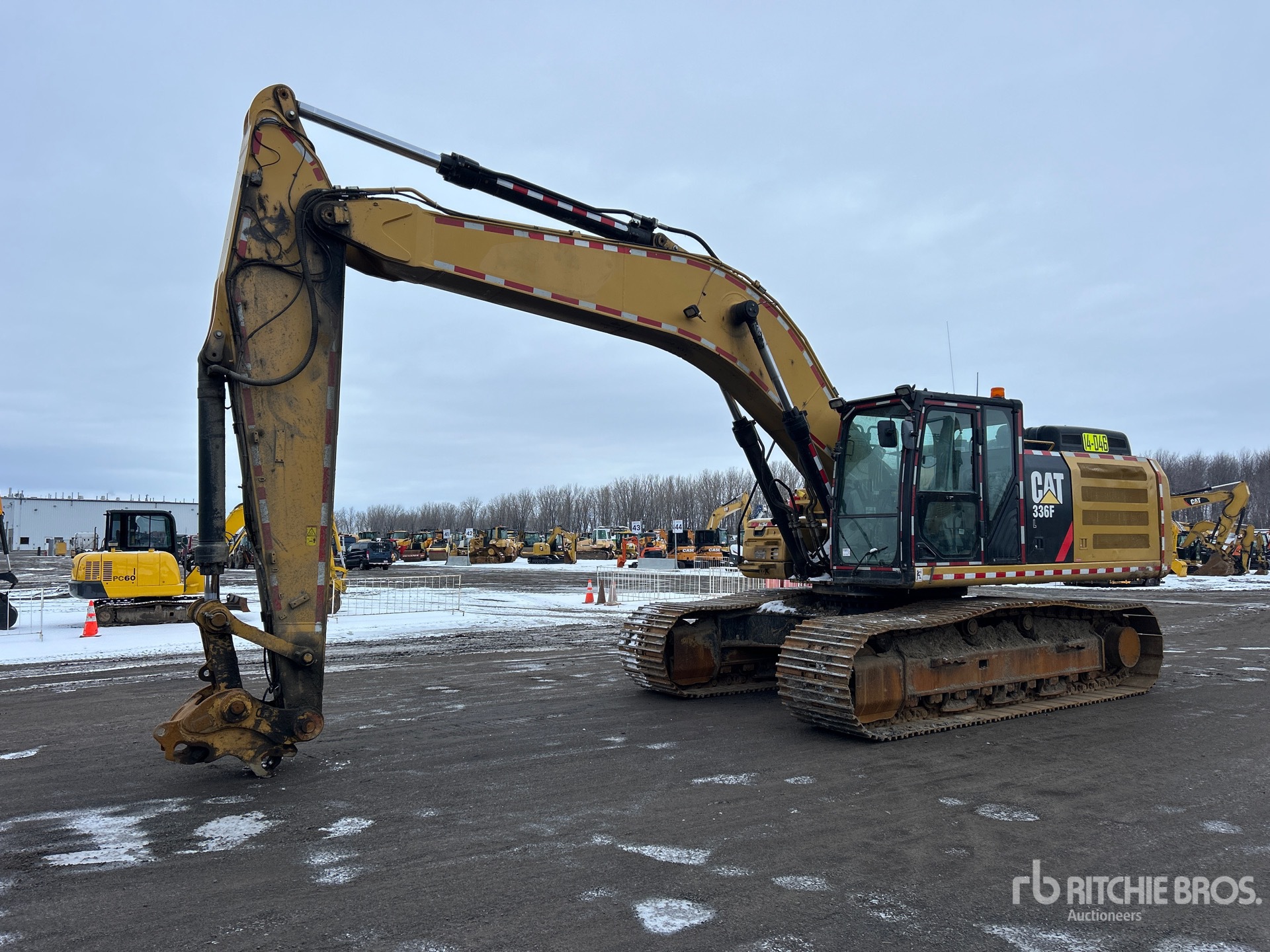 General Appearance with Spin