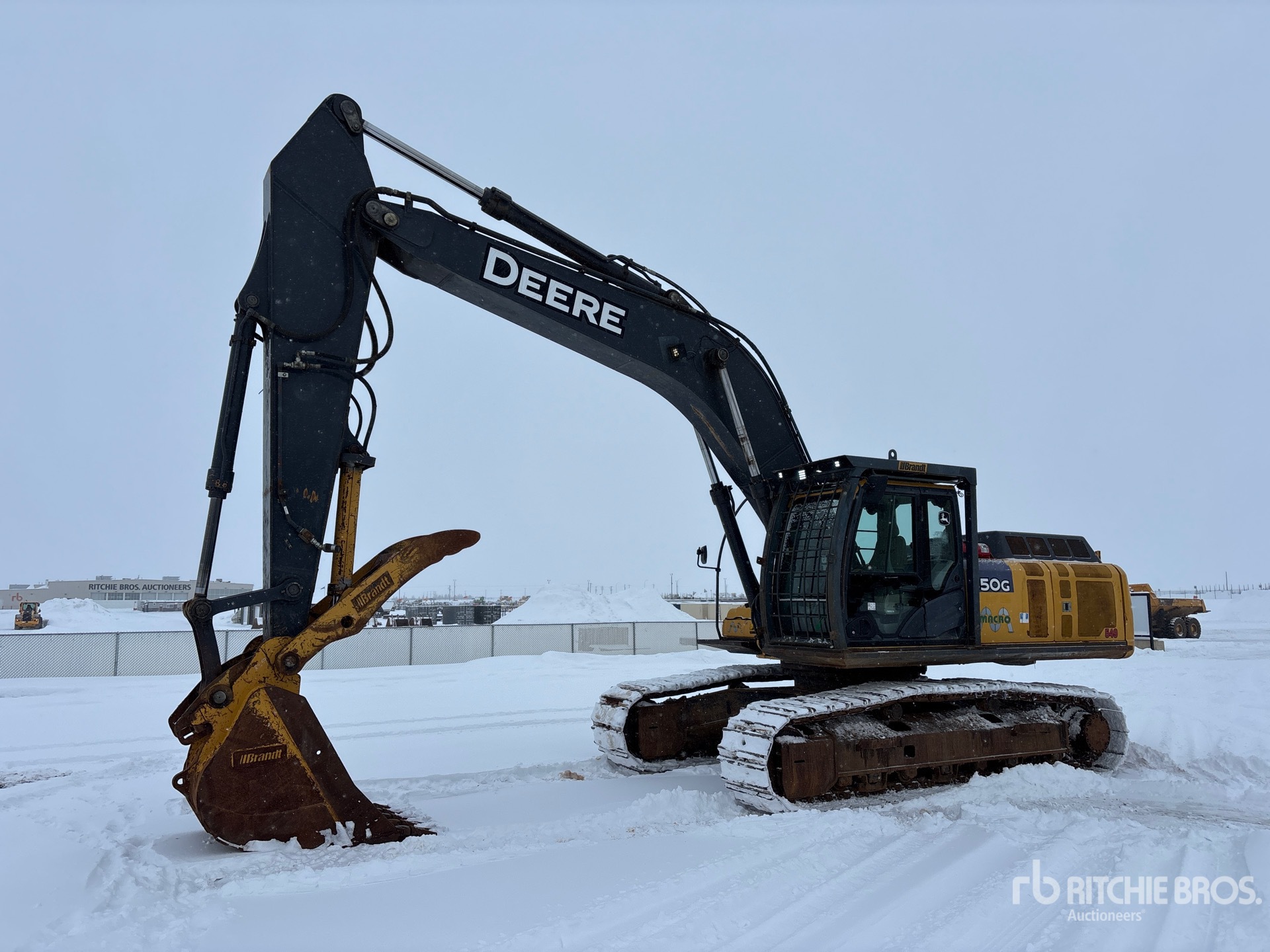 General Appearance with Spin